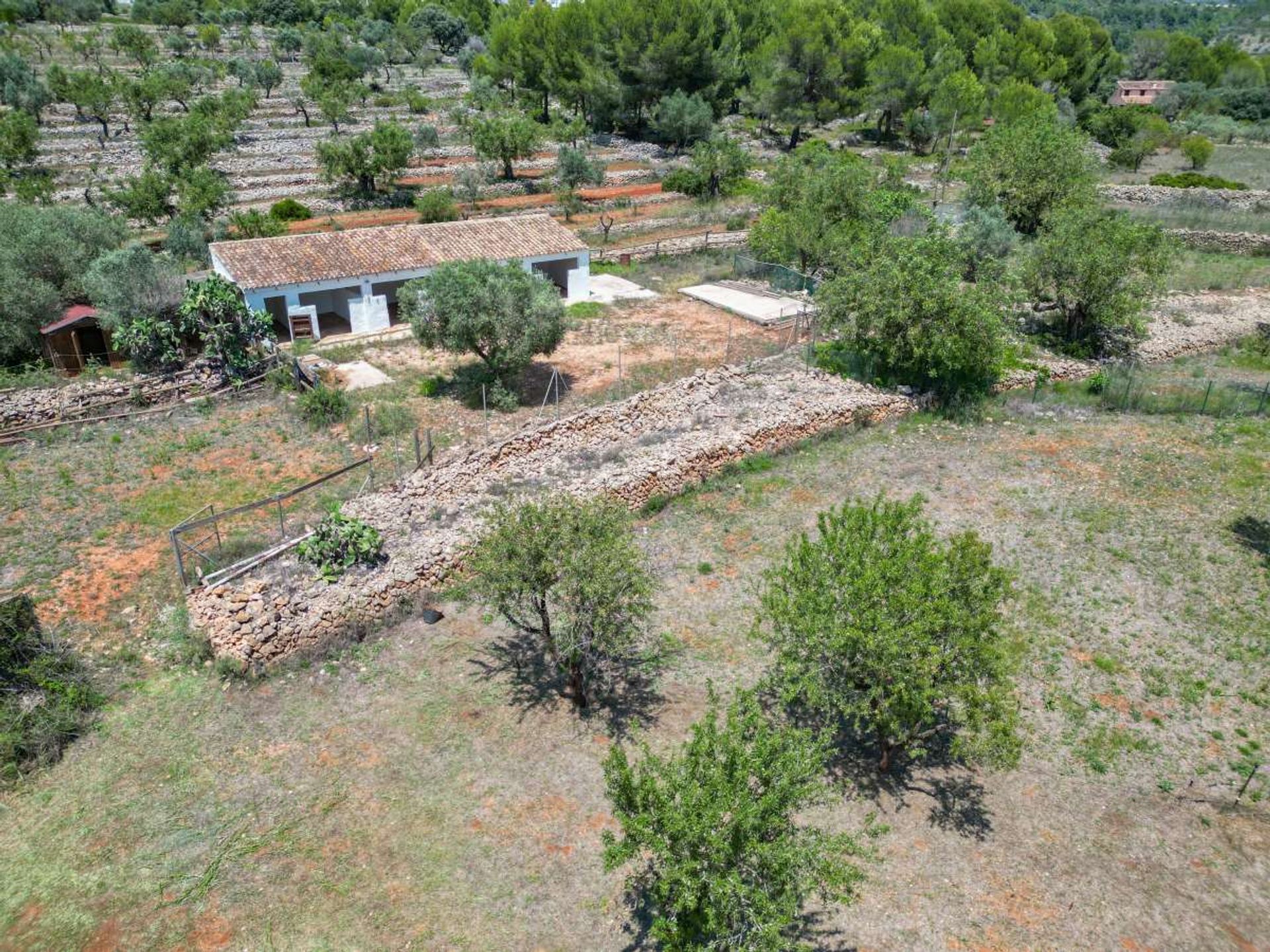 House in Senija, Valencian Community 12850969