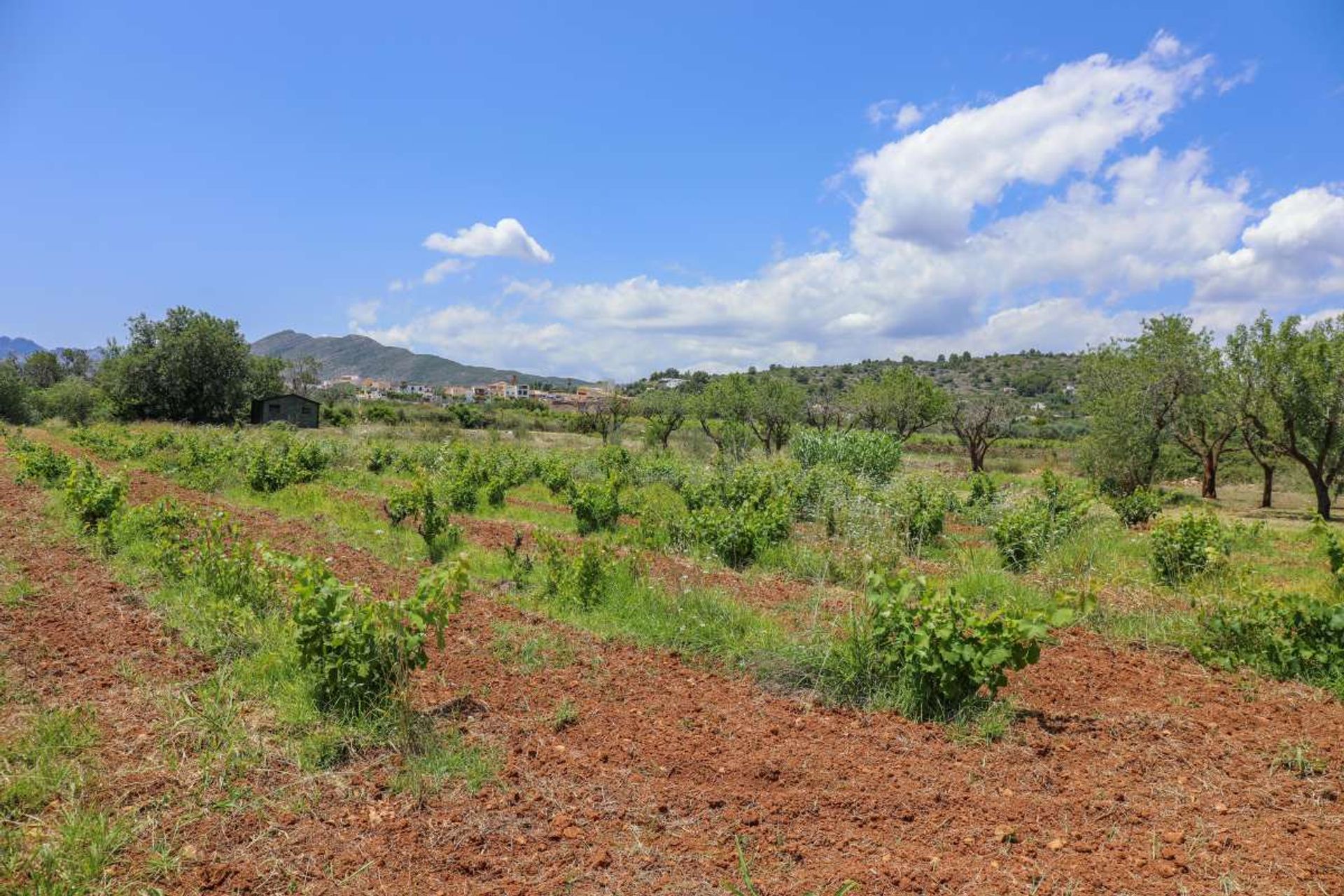 House in Senija, Valencian Community 12850969