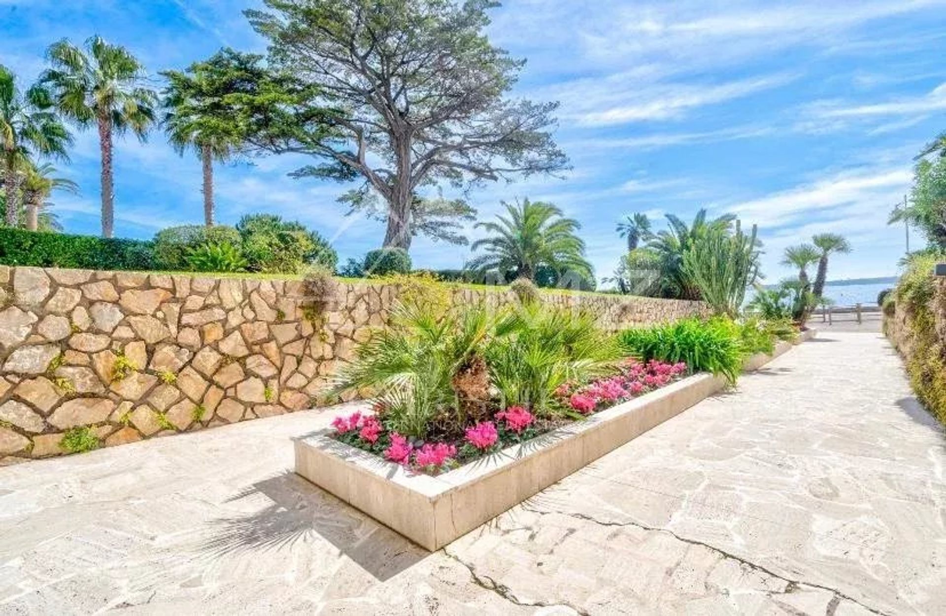 Condominium in Cannes, Alpes-Maritimes 12851009