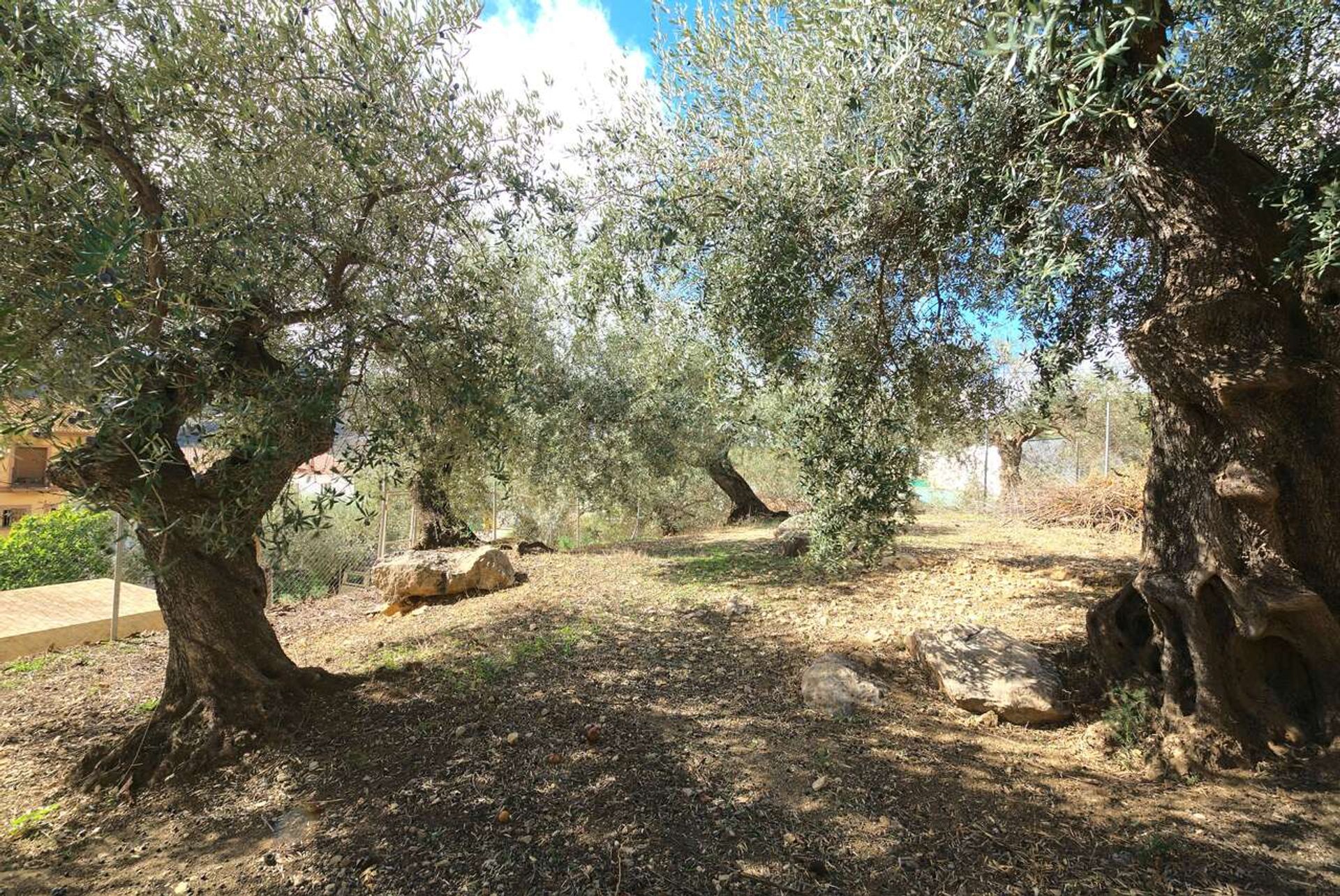 Hus i Periana, Andalucía 12851450