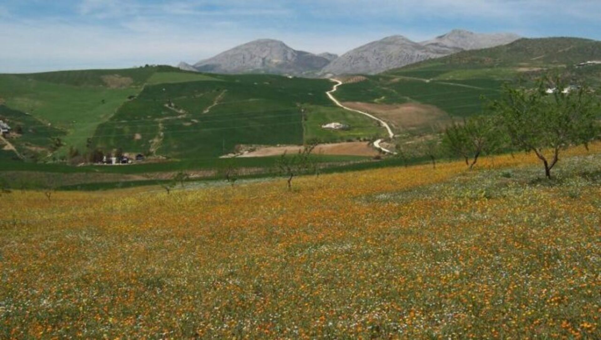 σπίτι σε Valle de Abdalajís, Andalucía 12851481