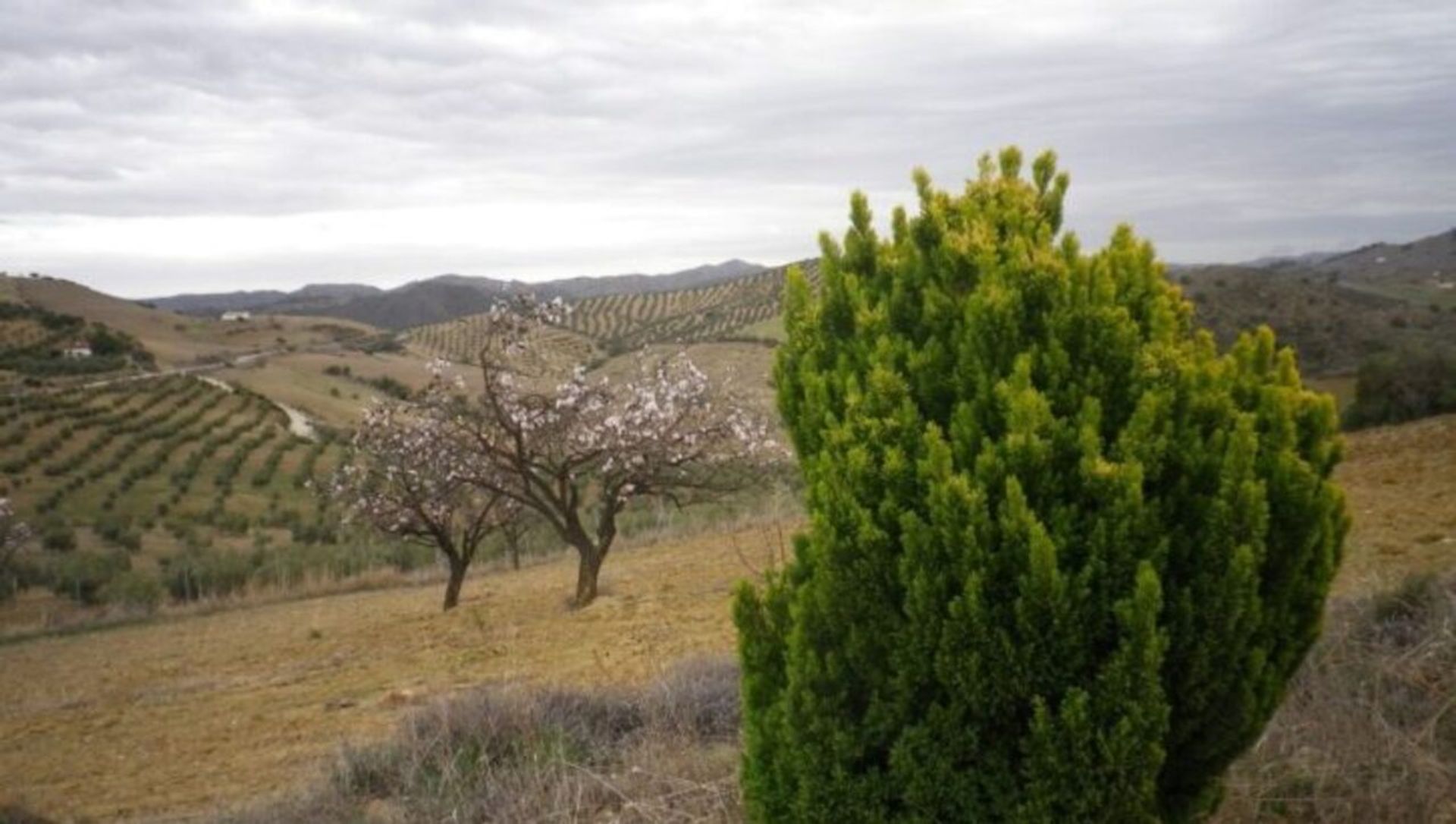 σπίτι σε Valle de Abdalajís, Andalucía 12851481