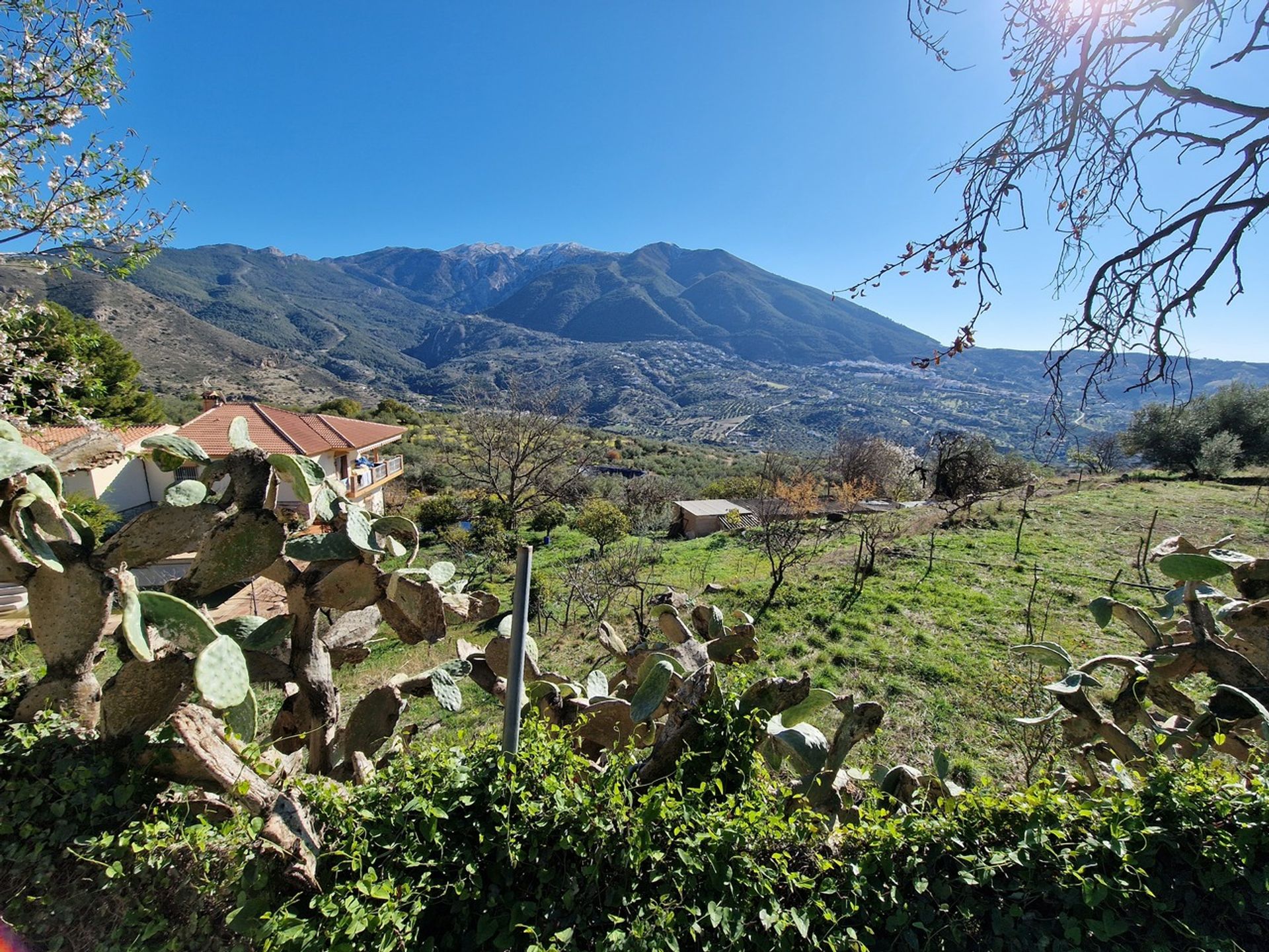 土地 在 Alcaucín, Andalucía 12851493