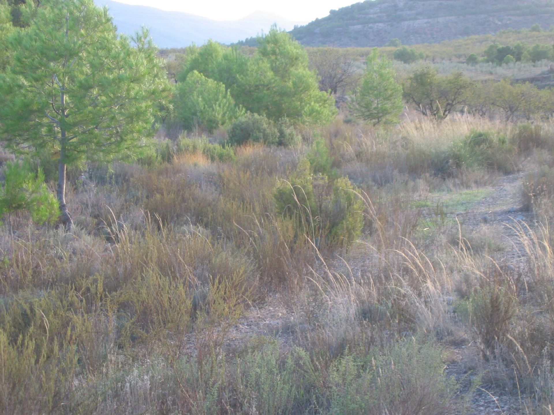 loger dans Murcia, Región de Murcia 12851503