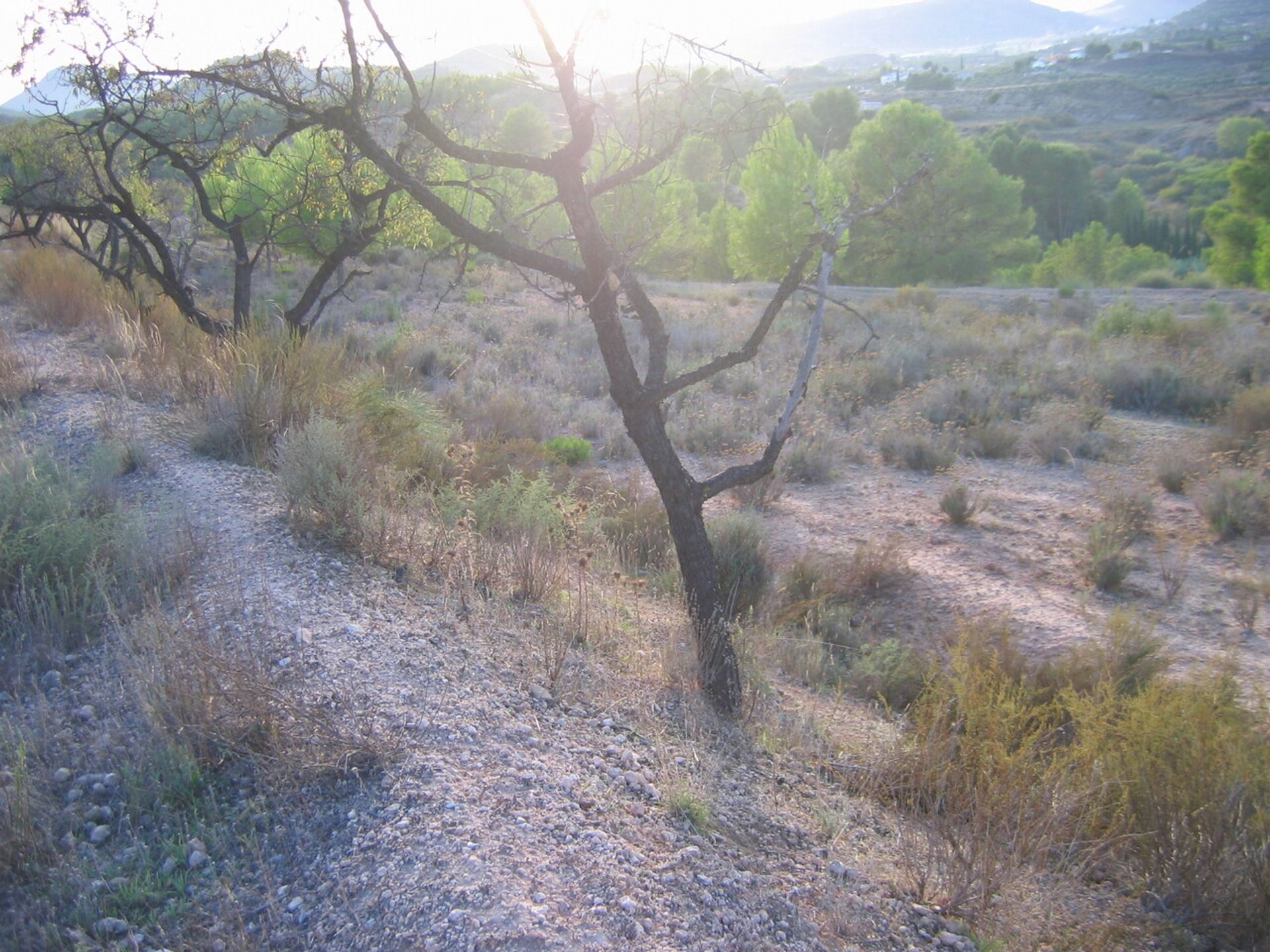 loger dans Murcia, Región de Murcia 12851503