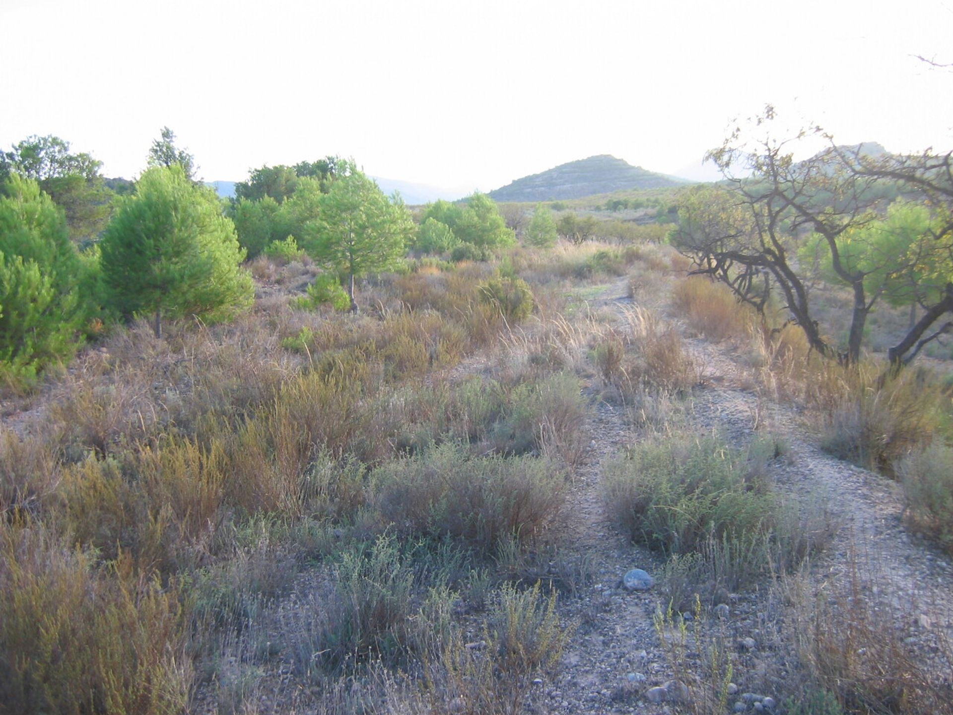 loger dans Murcia, Región de Murcia 12851503