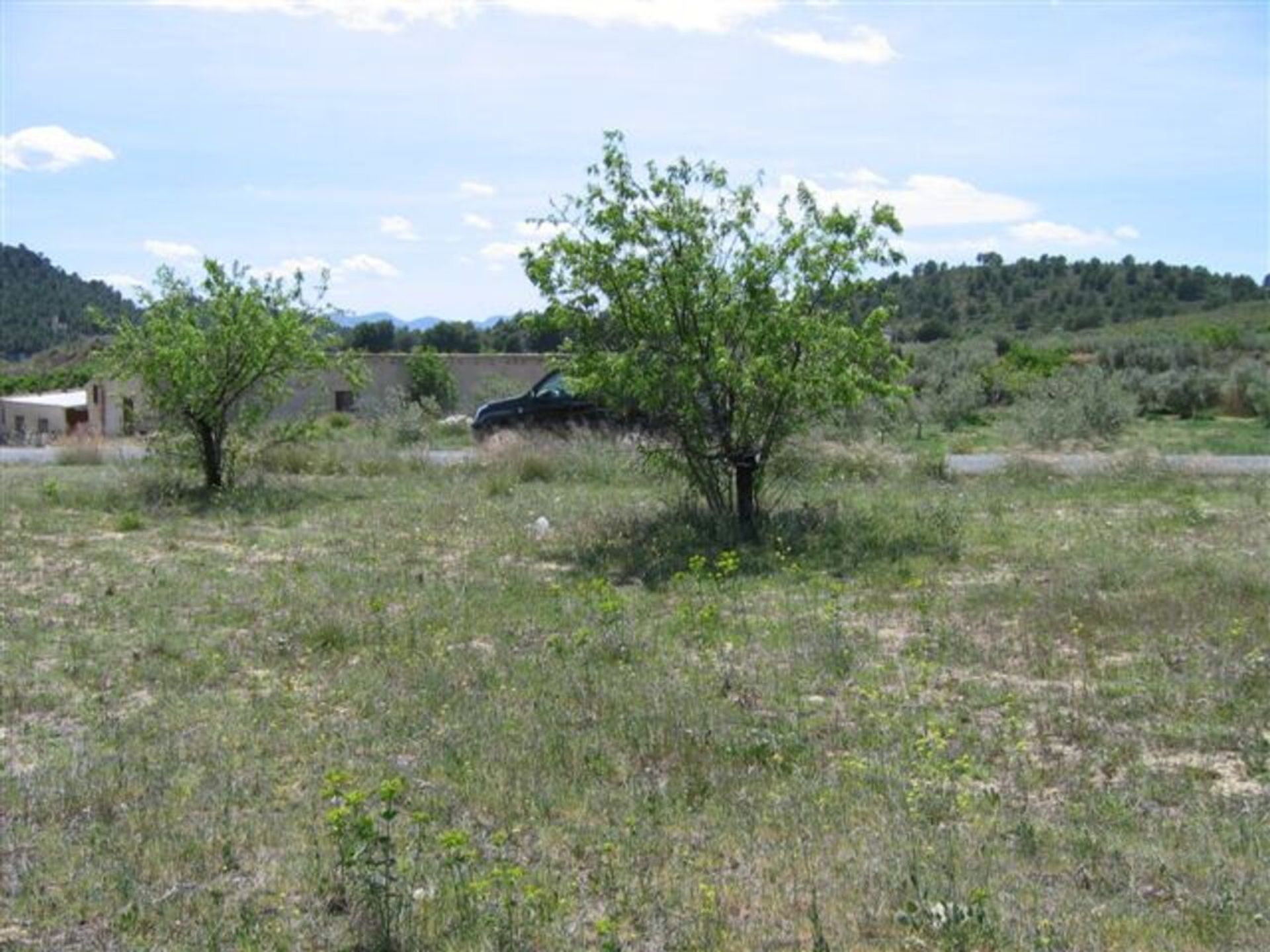 Hus i Murcia, Región de Murcia 12851515