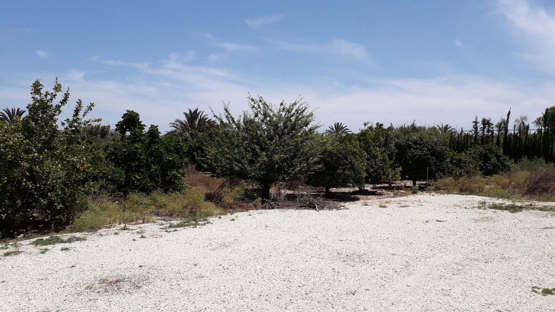 Rumah di El Puente de Don Pedro, Comunidad Valenciana 12851516