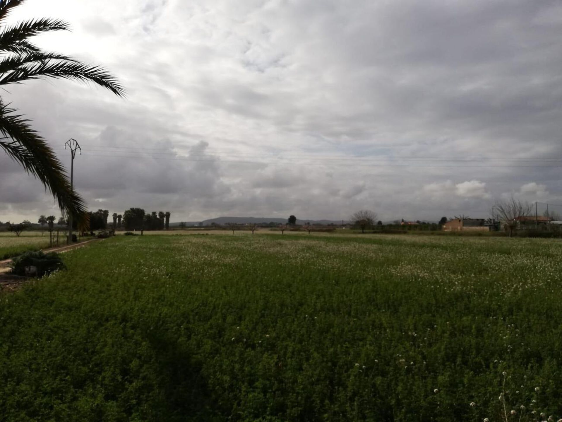 σπίτι σε Callosa de Segura, Comunidad Valenciana 12851520