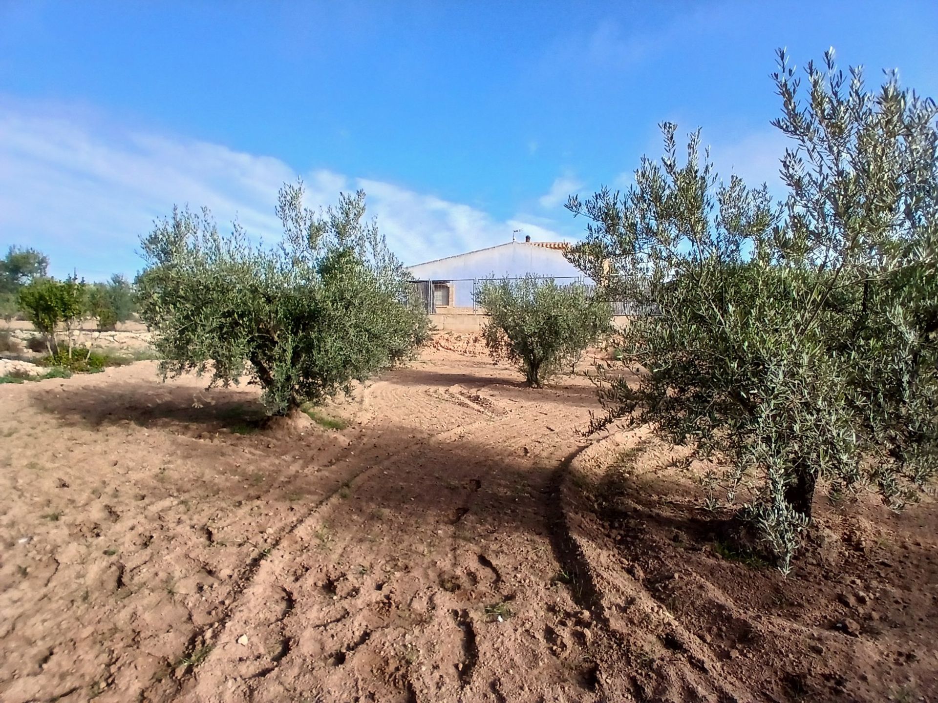 Rumah di Jumilla, Región de Murcia 12851734