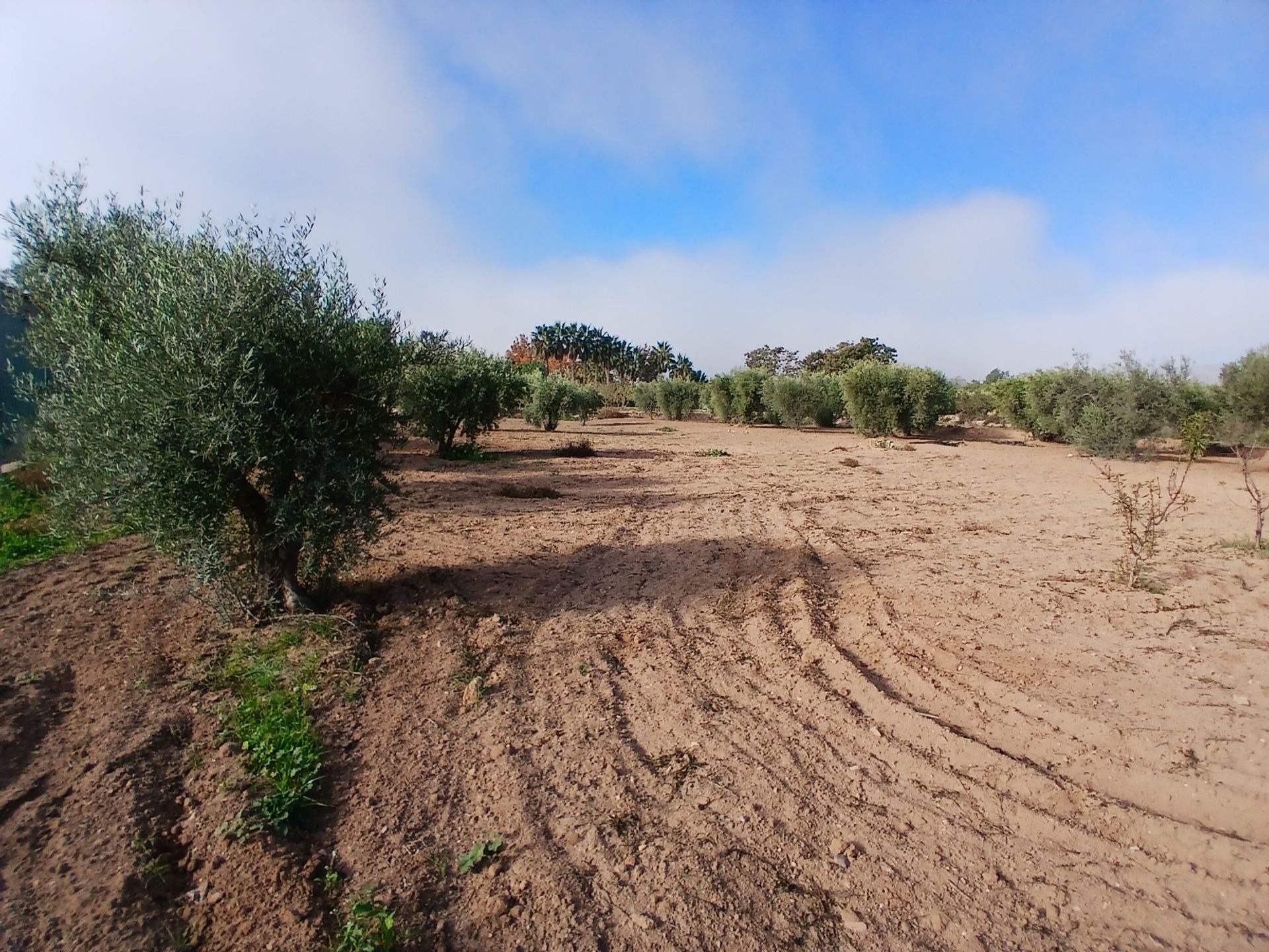 Rumah di Jumilla, Región de Murcia 12851734