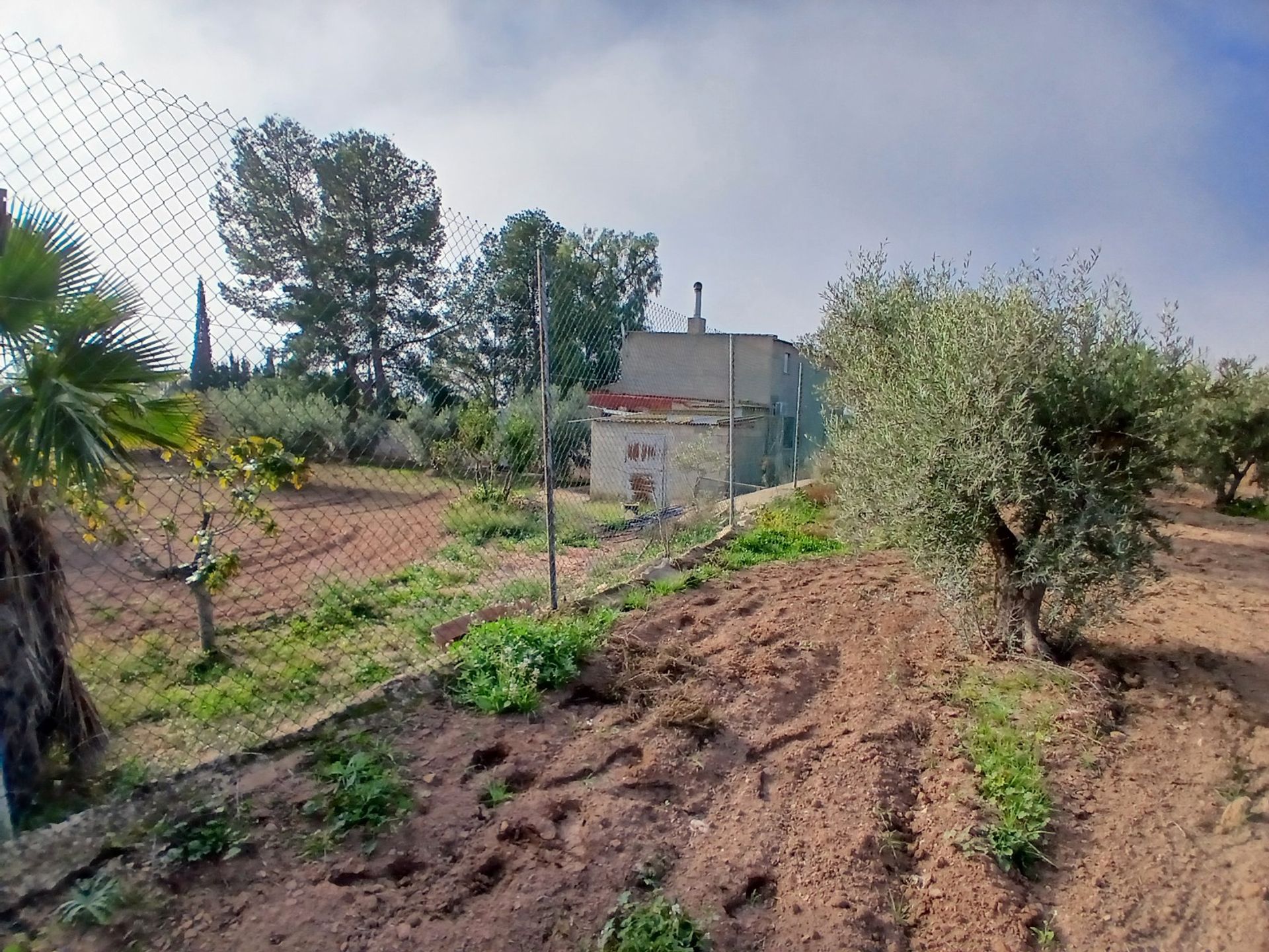 Rumah di Jumilla, Región de Murcia 12851734