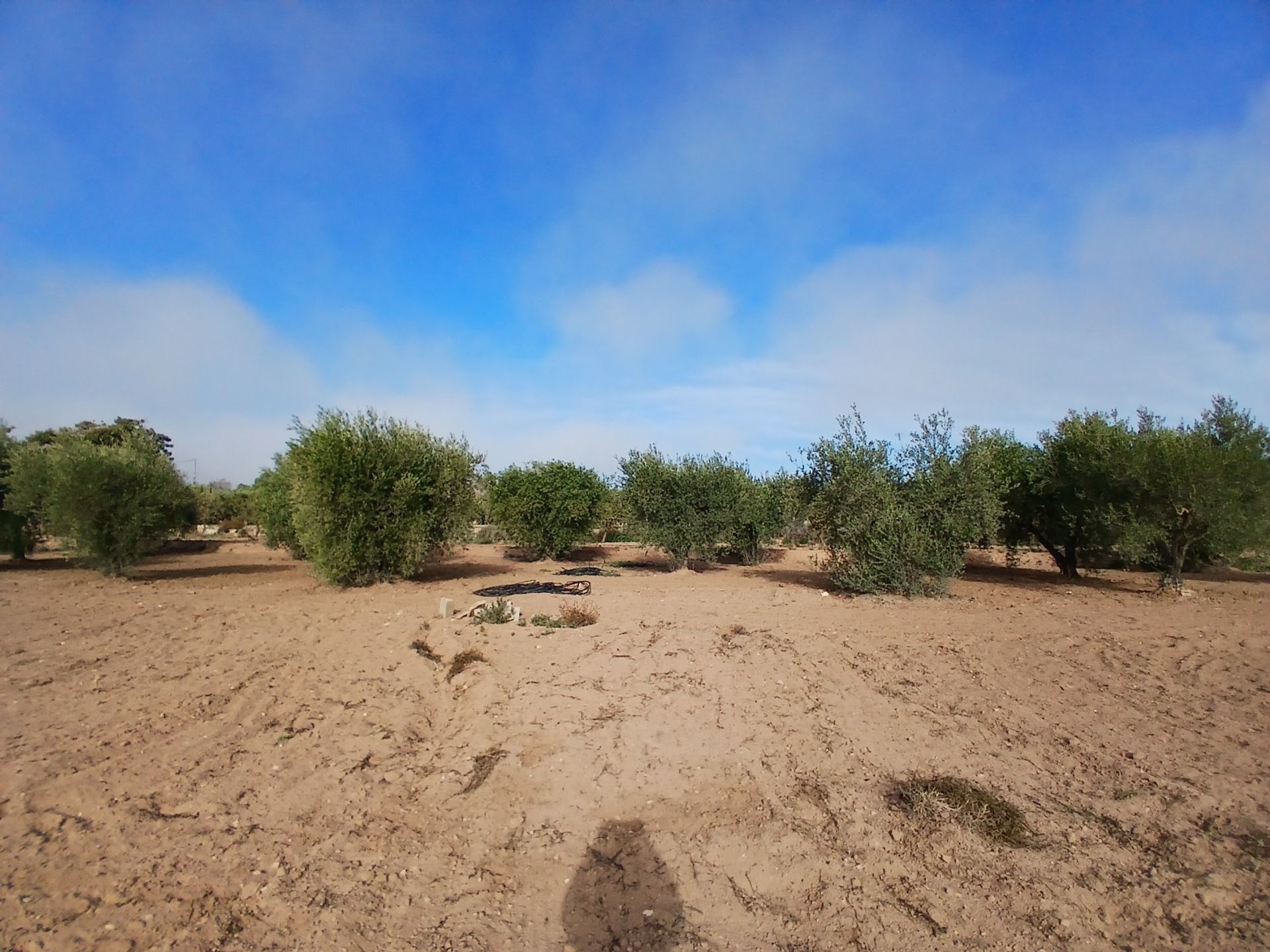 Rumah di Jumilla, Región de Murcia 12851734