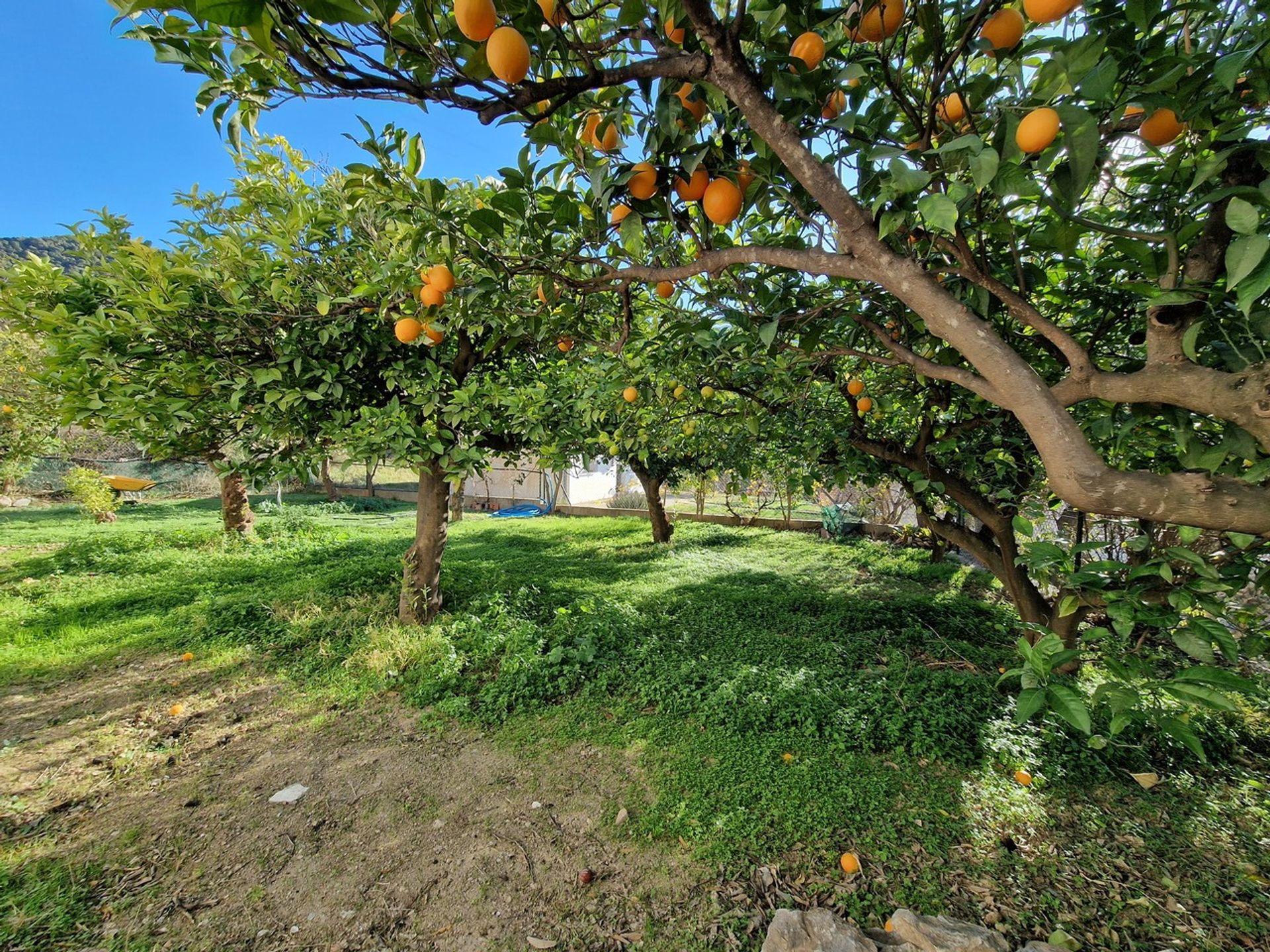 Huis in Alcaucín, Andalucía 12851775