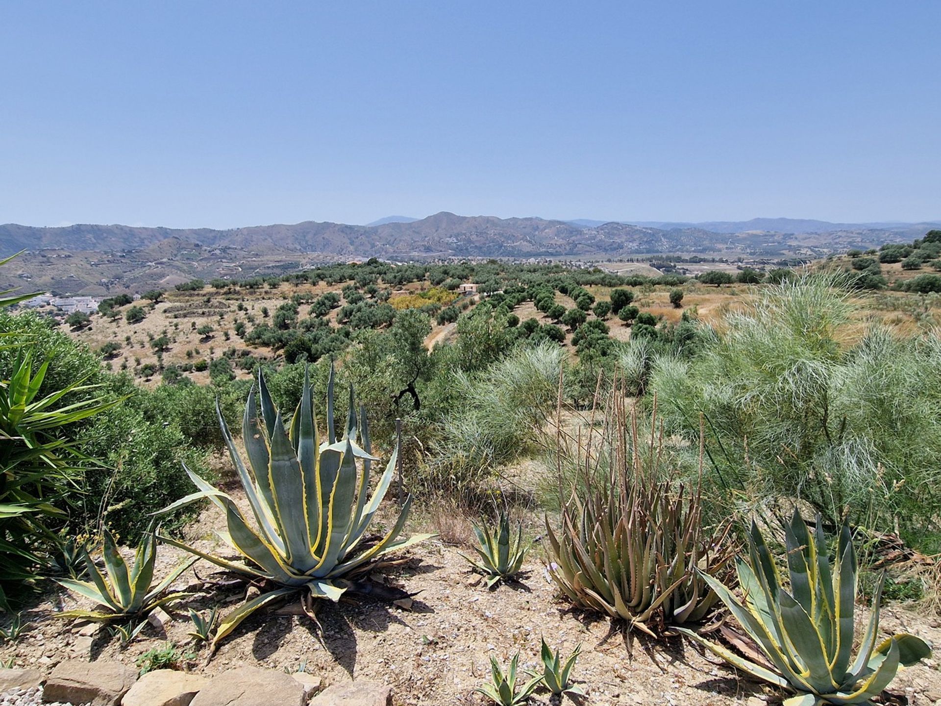 жилой дом в Canillas de Aceituno, Andalucía 12851875