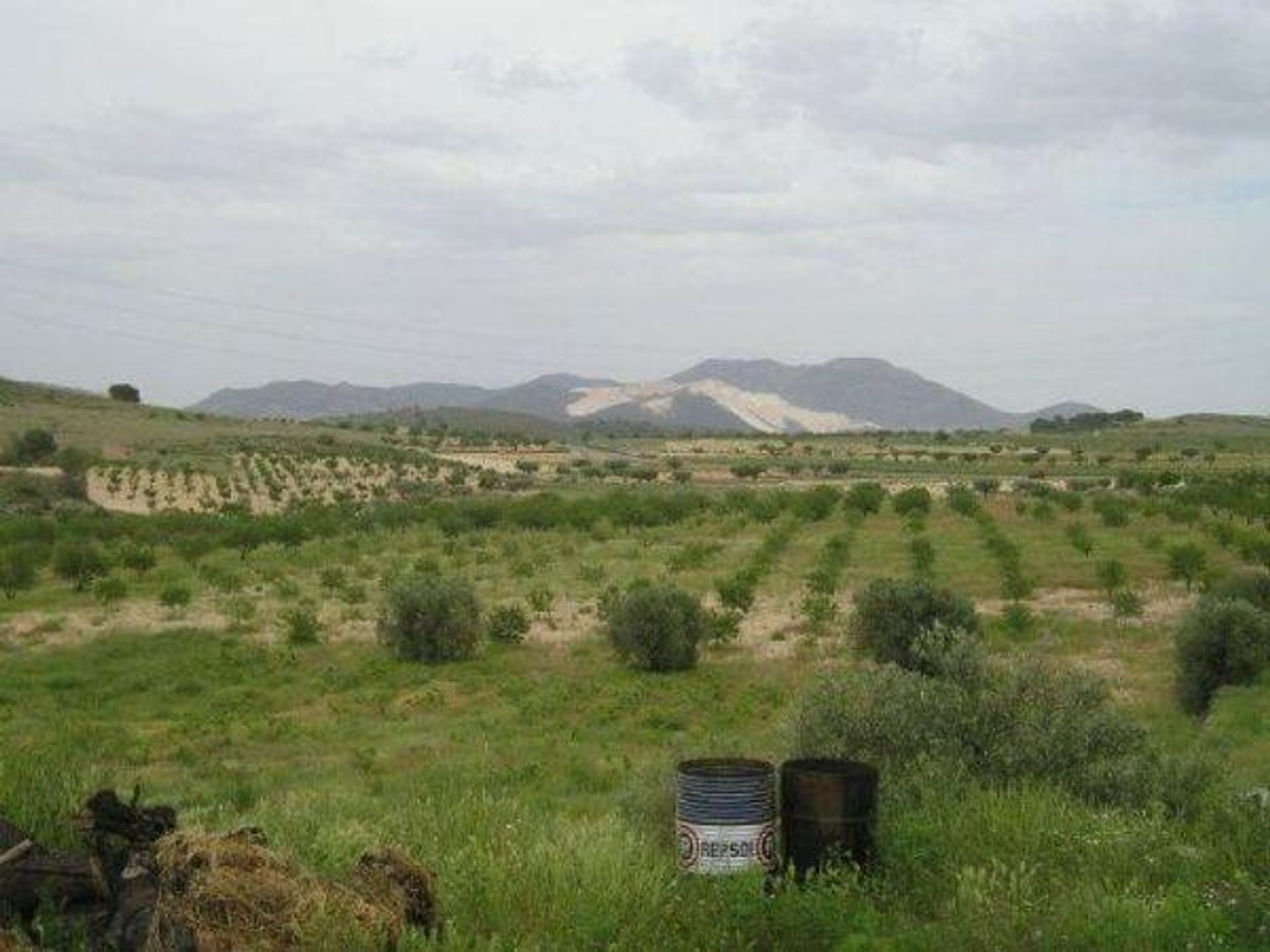 房子 在 Jumilla, Región de Murcia 12852027