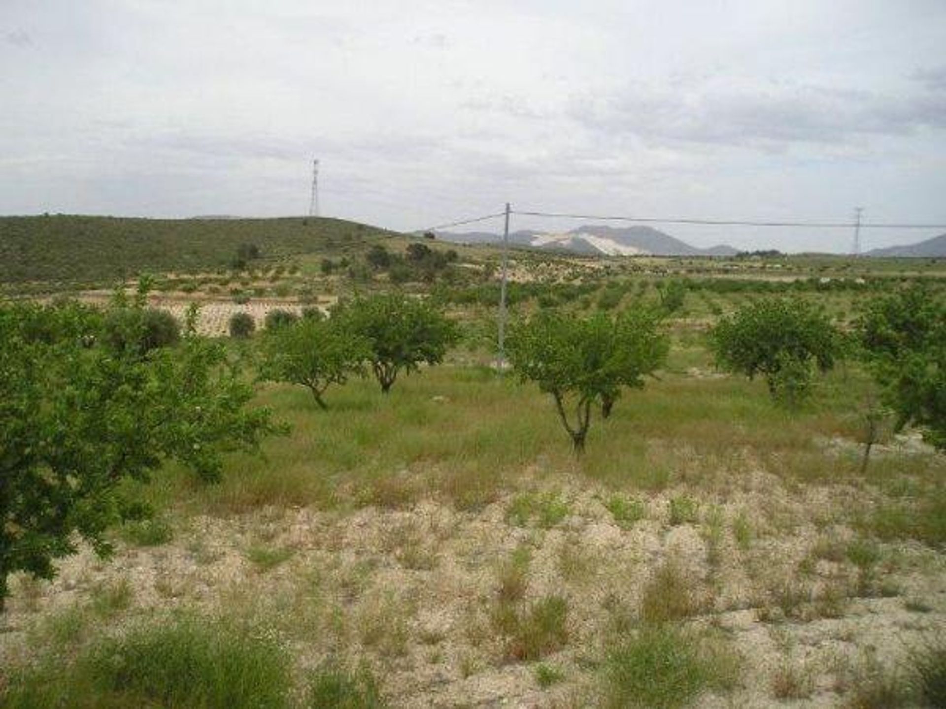 房子 在 Jumilla, Región de Murcia 12852027