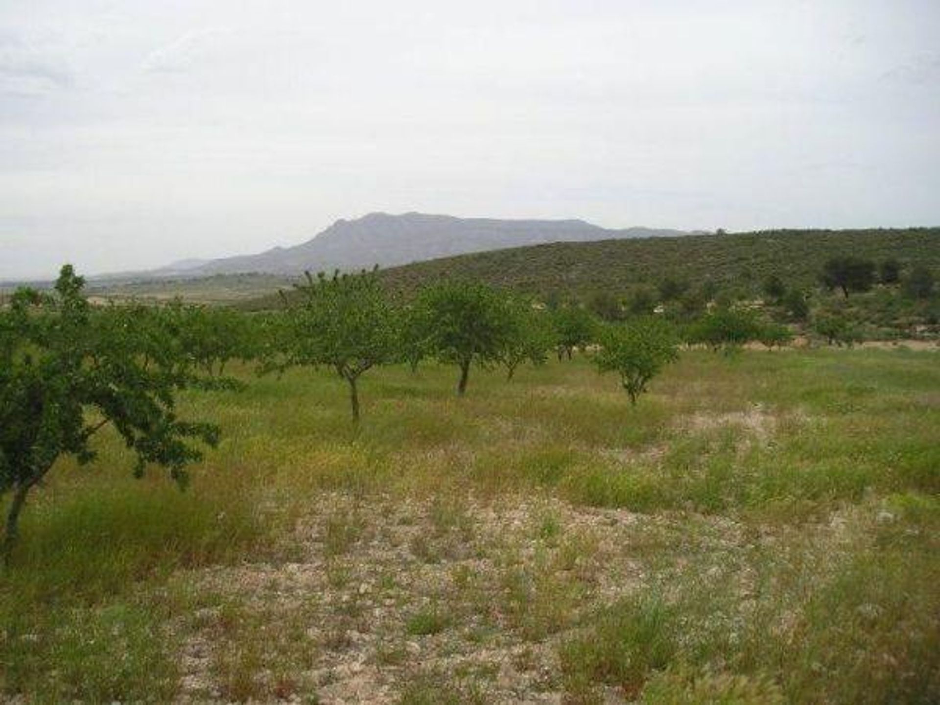 房子 在 Jumilla, Región de Murcia 12852027