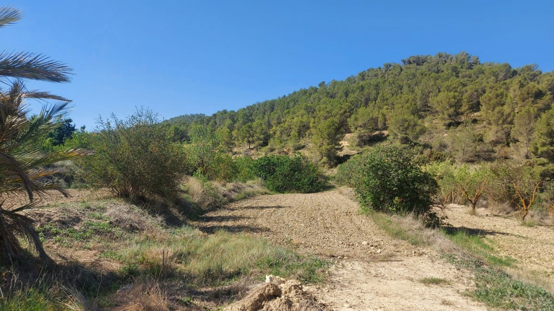 房子 在 Jumilla, Región de Murcia 12852094