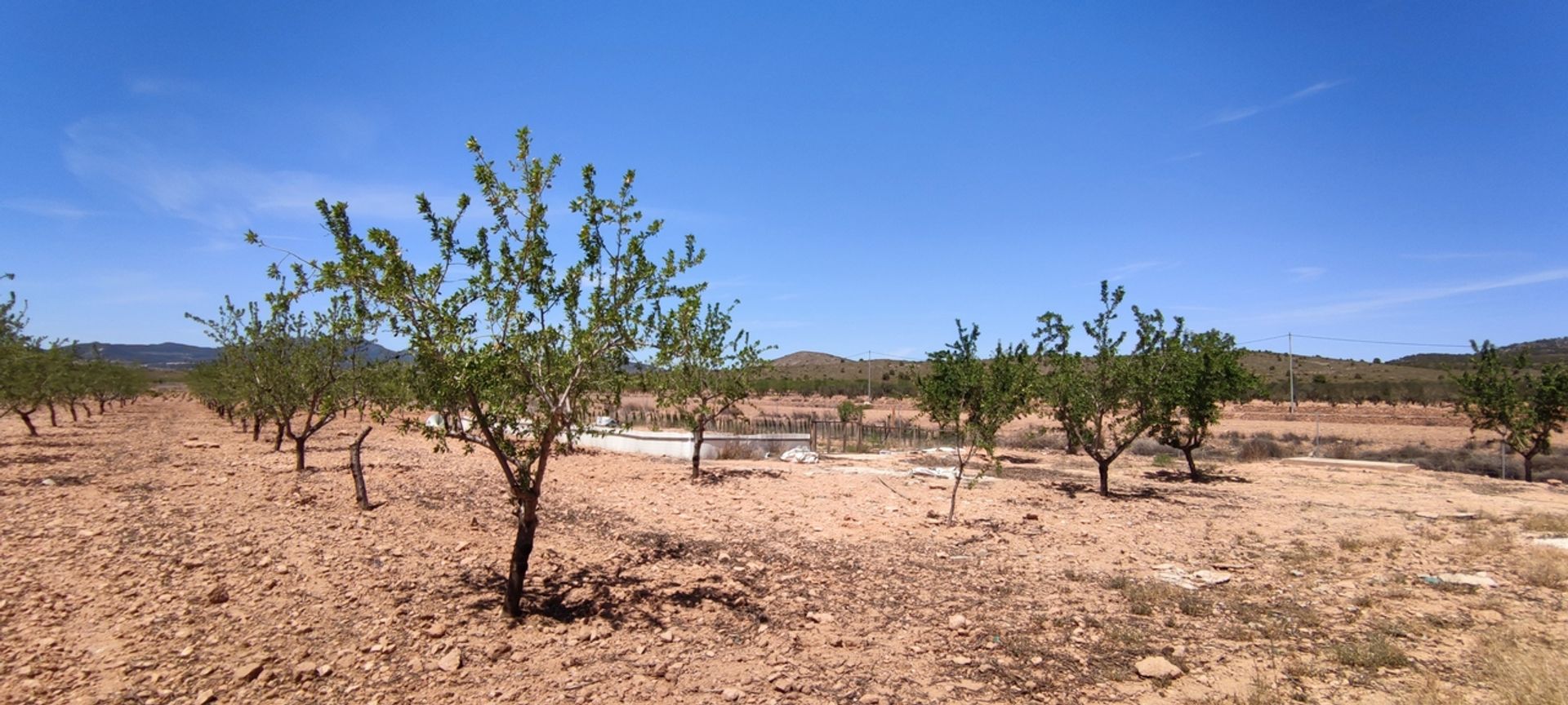 casa no Pinoso, Comunidad Valenciana 12852332