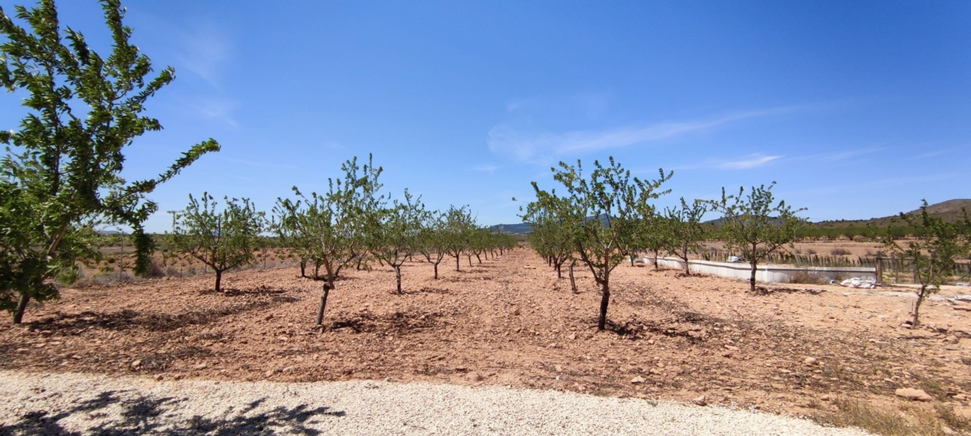 casa no Pinoso, Comunidad Valenciana 12852332