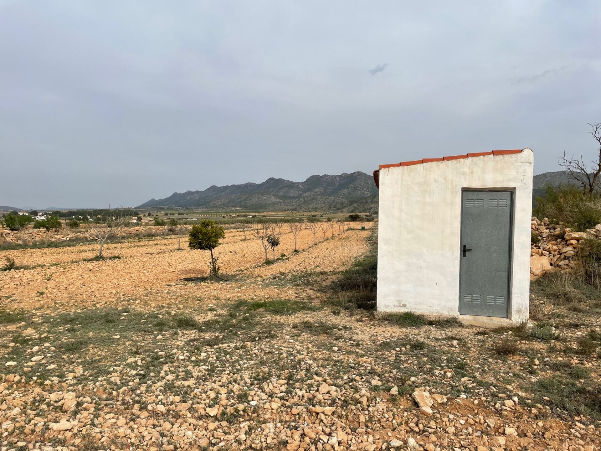 casa en pinoso, Valencia 12853107