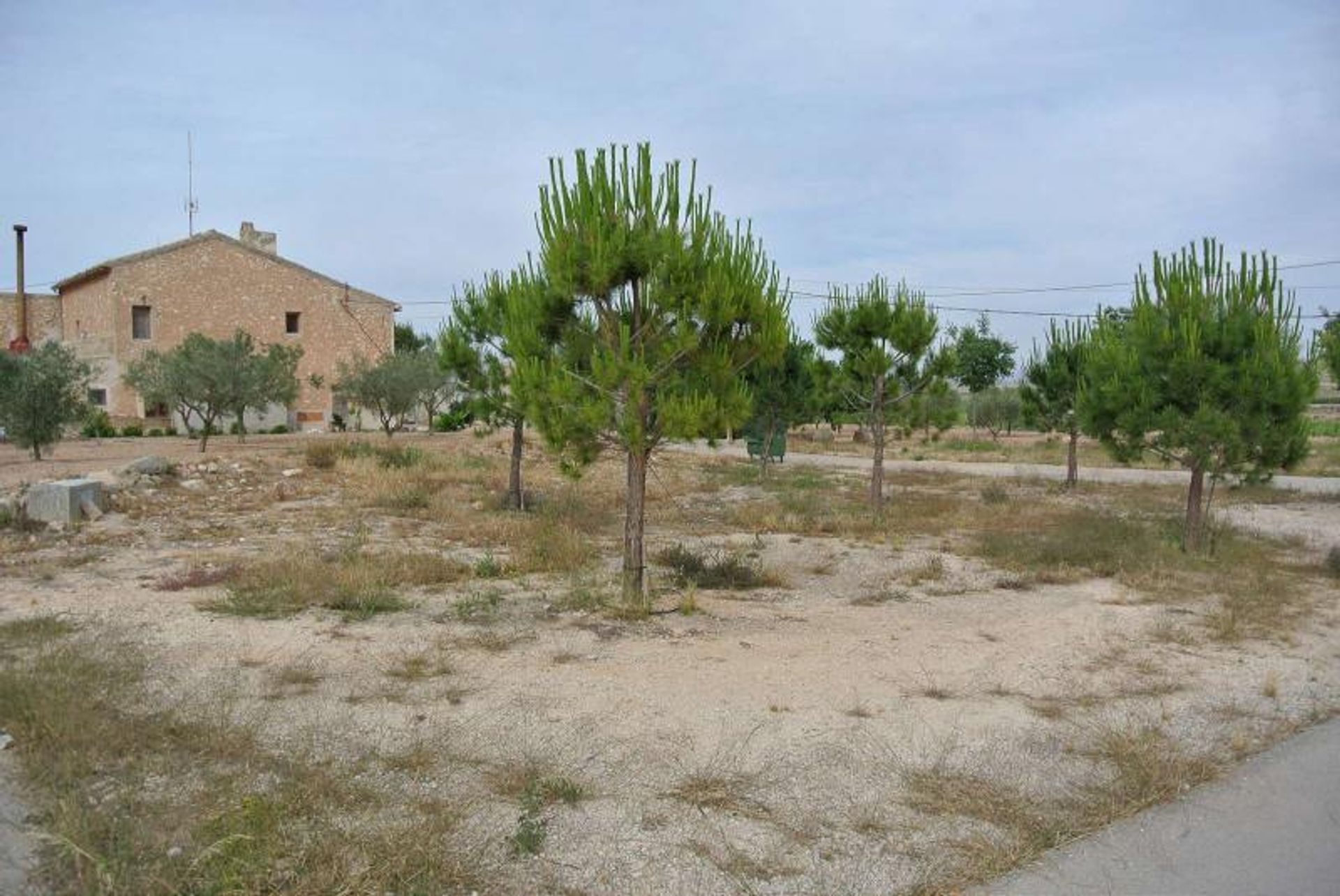 Autre dans Pinoso, Comunidad Valenciana 12853114