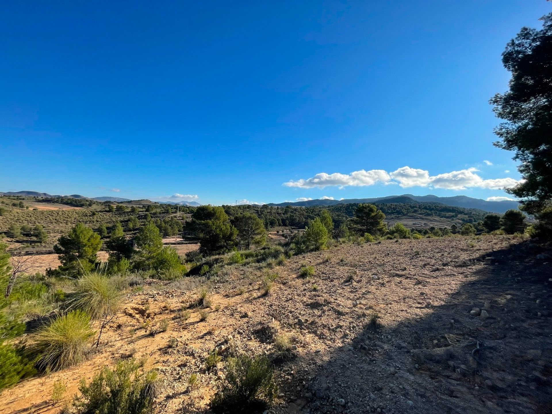 집 에 La Zarza, Región de Murcia 12853118