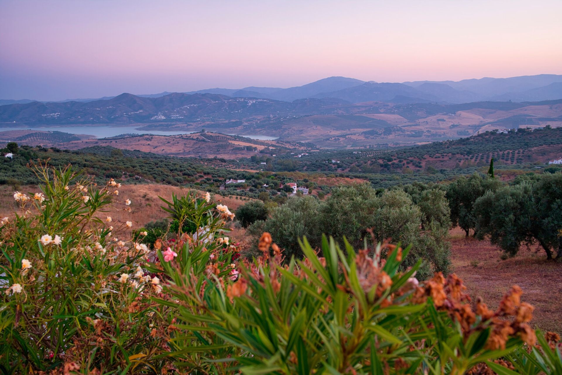 Hus i Periana, Andalusien 12853192