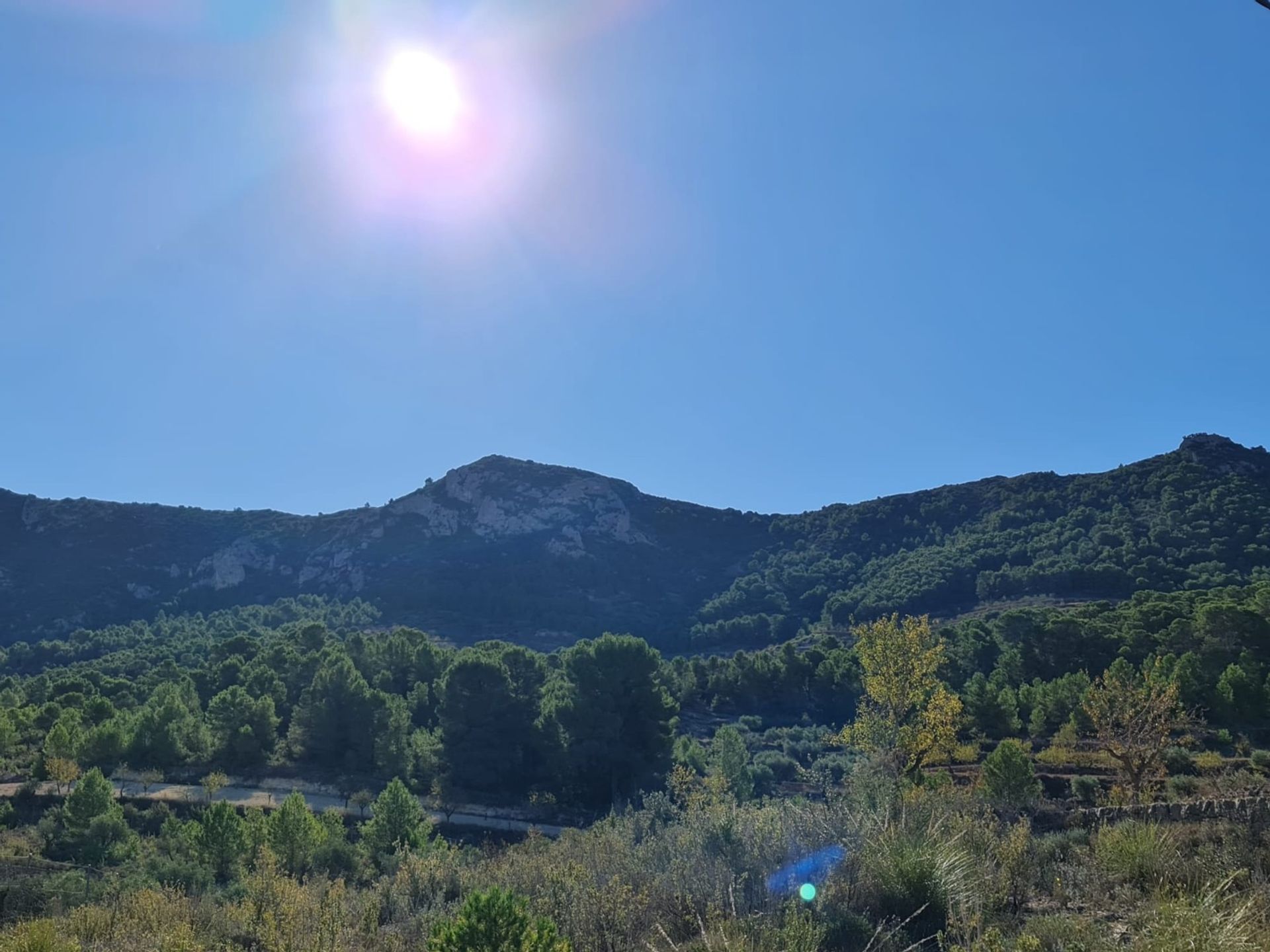 casa no la Romana, Comunidad Valenciana 12853226