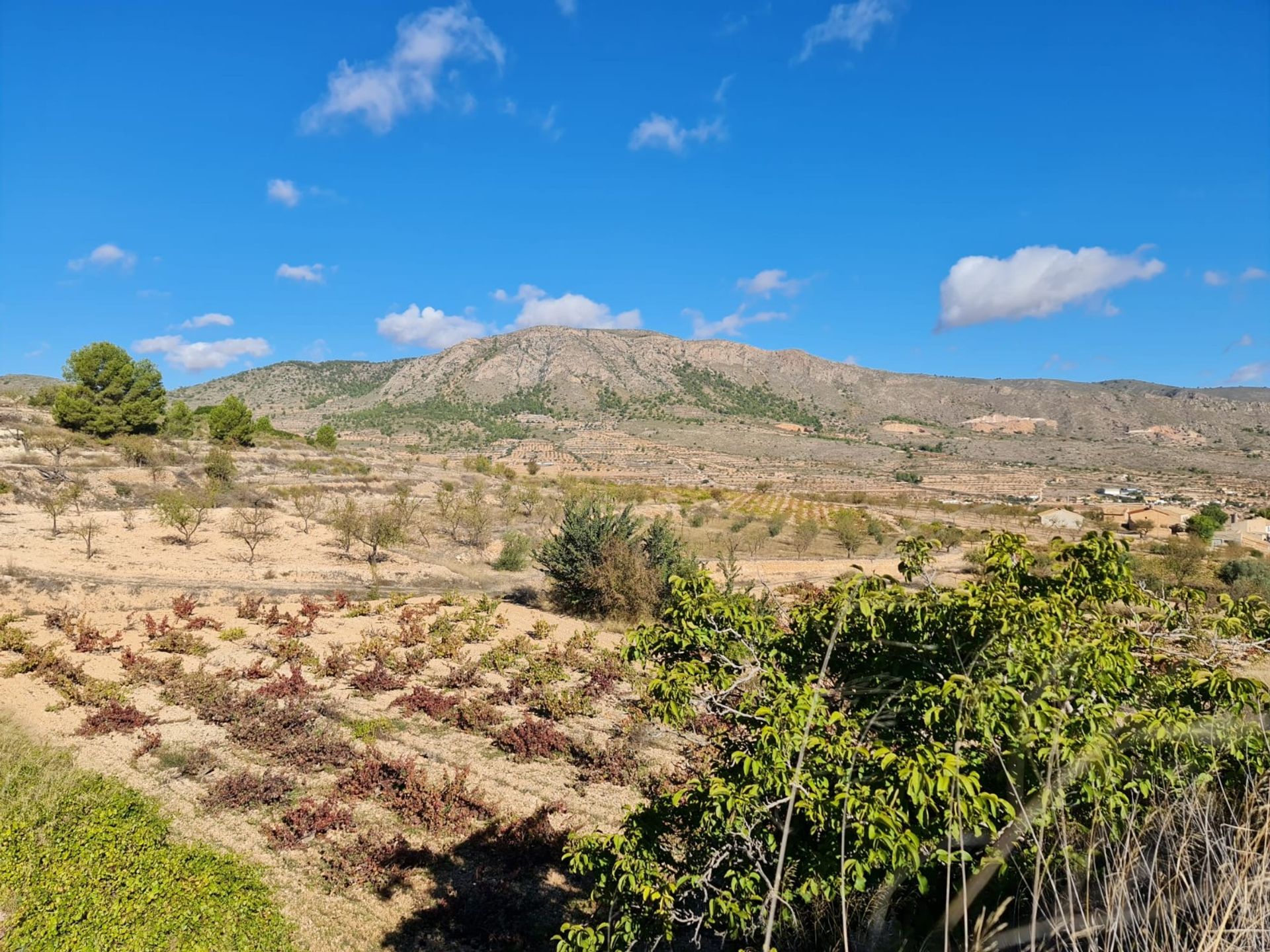 casa no la Romana, Comunidad Valenciana 12853226