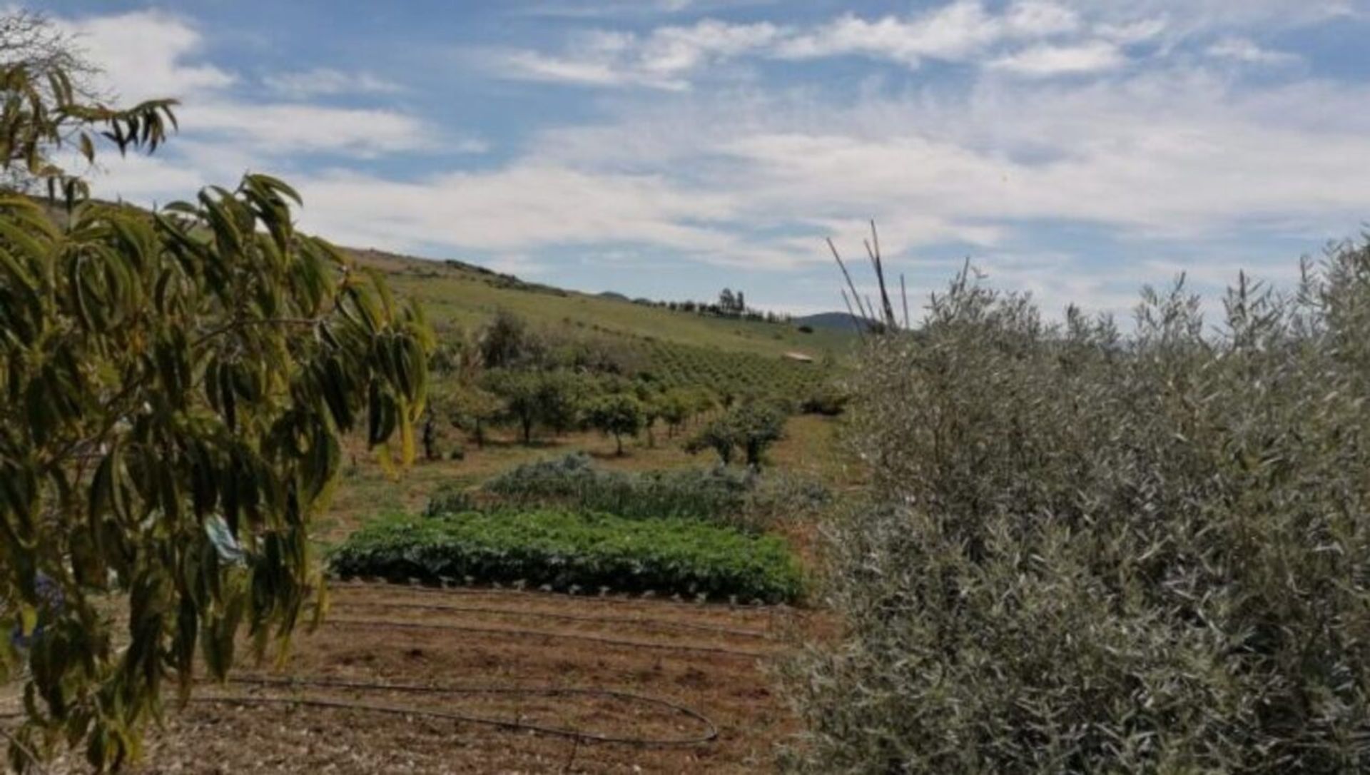 Haus im Álora, Andalucía 12853276