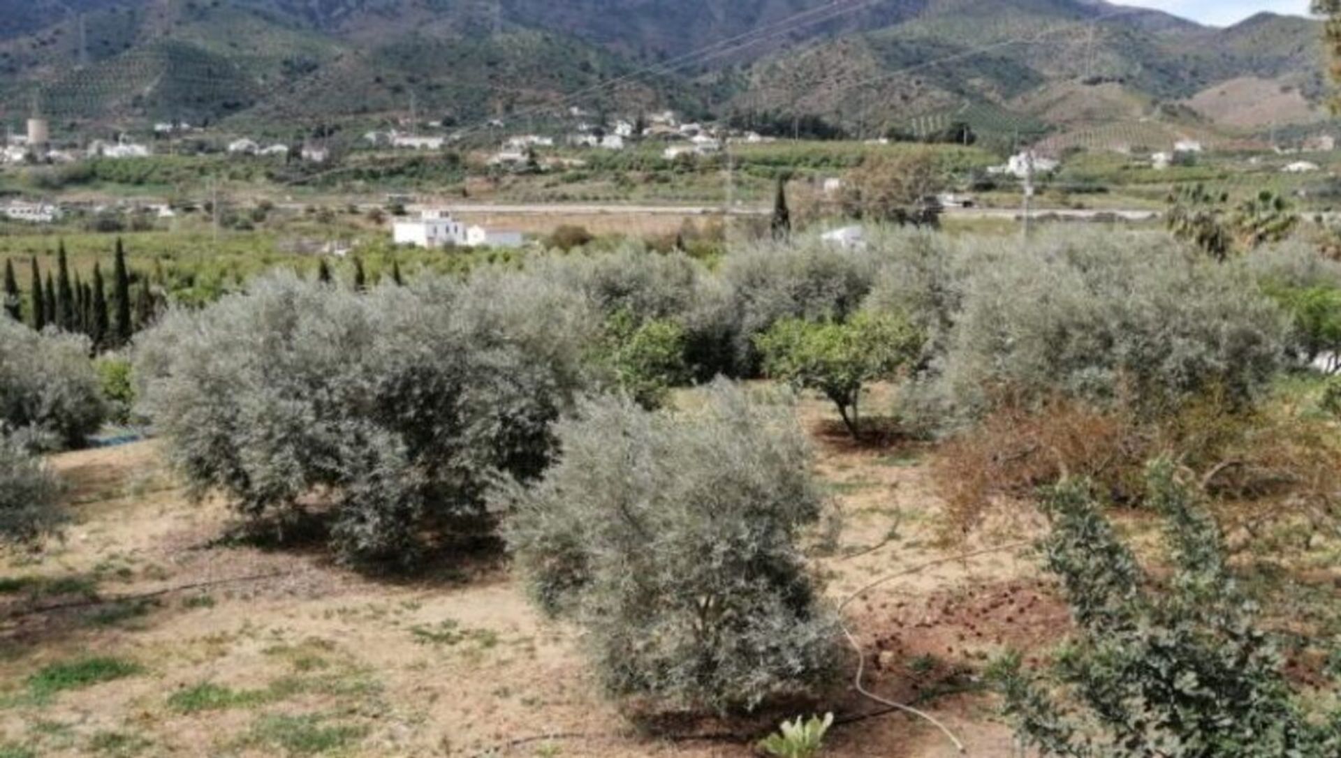 Haus im Álora, Andalucía 12853276