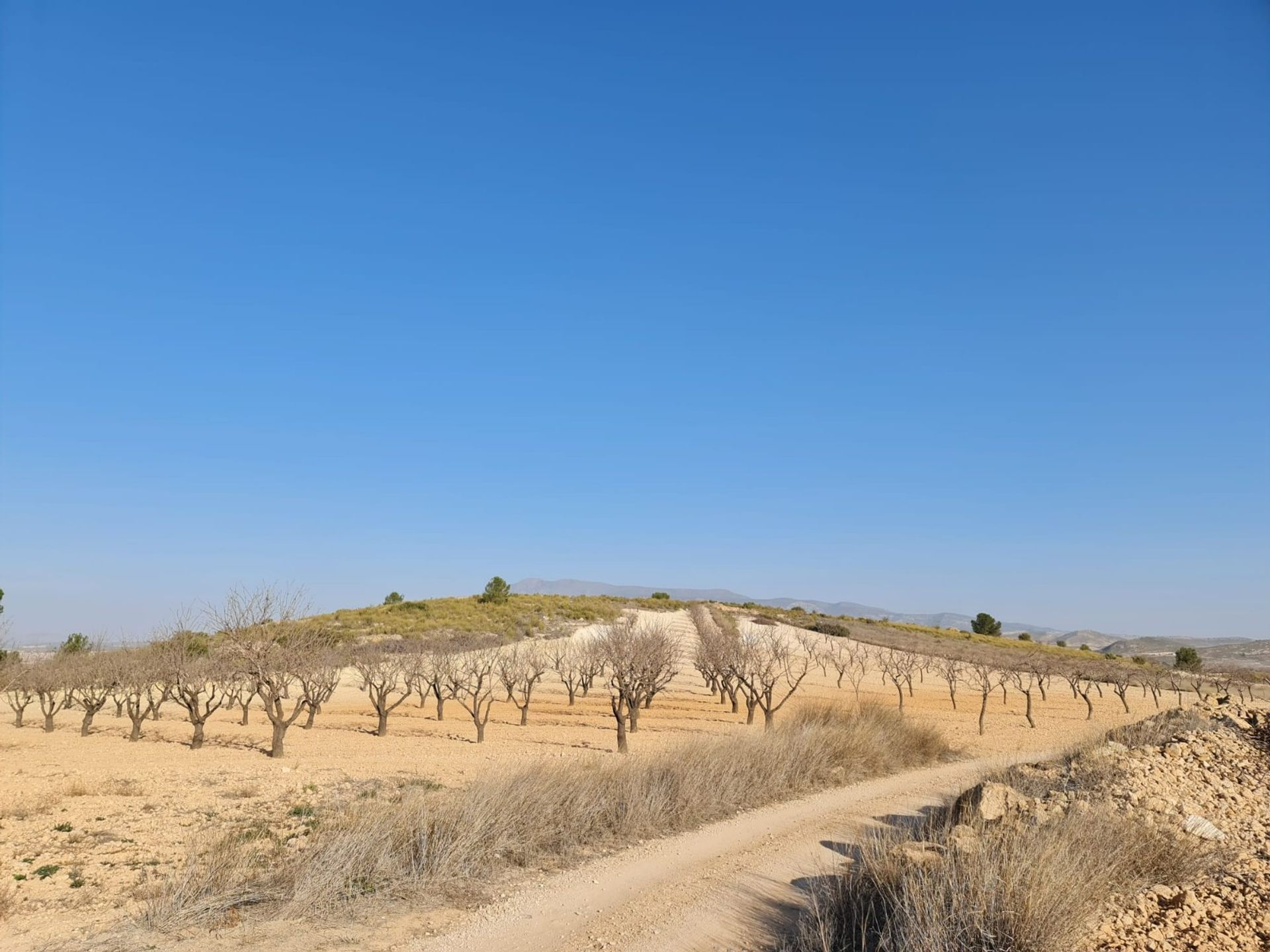 Rumah di , Región de Murcia 12853332