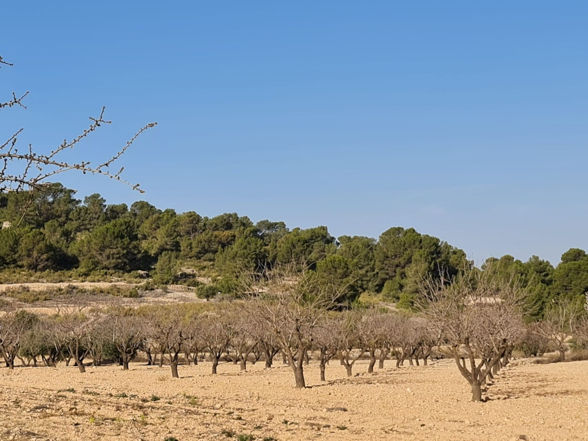 Rumah di , Región de Murcia 12853332