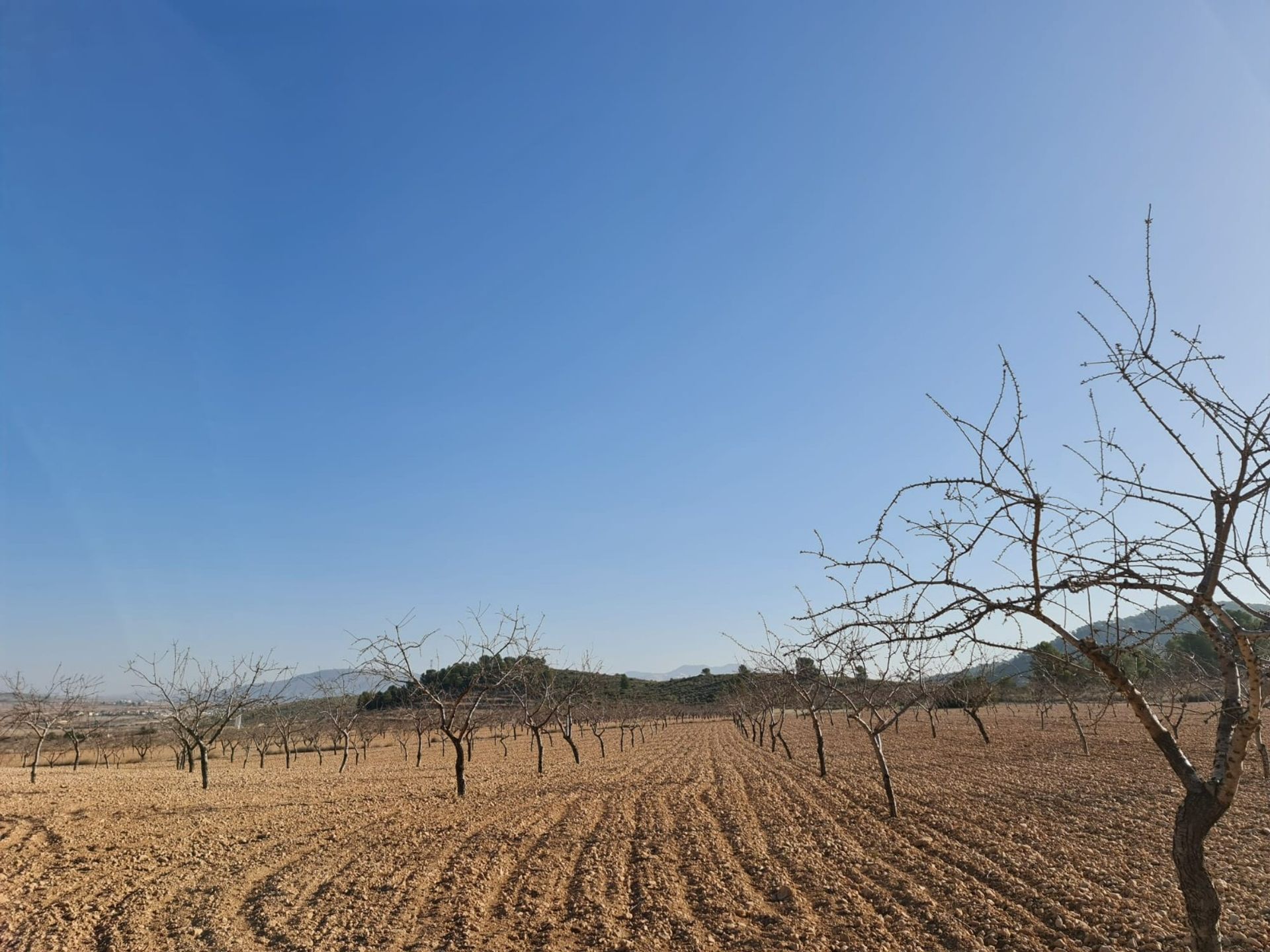 Rumah di , Región de Murcia 12853332