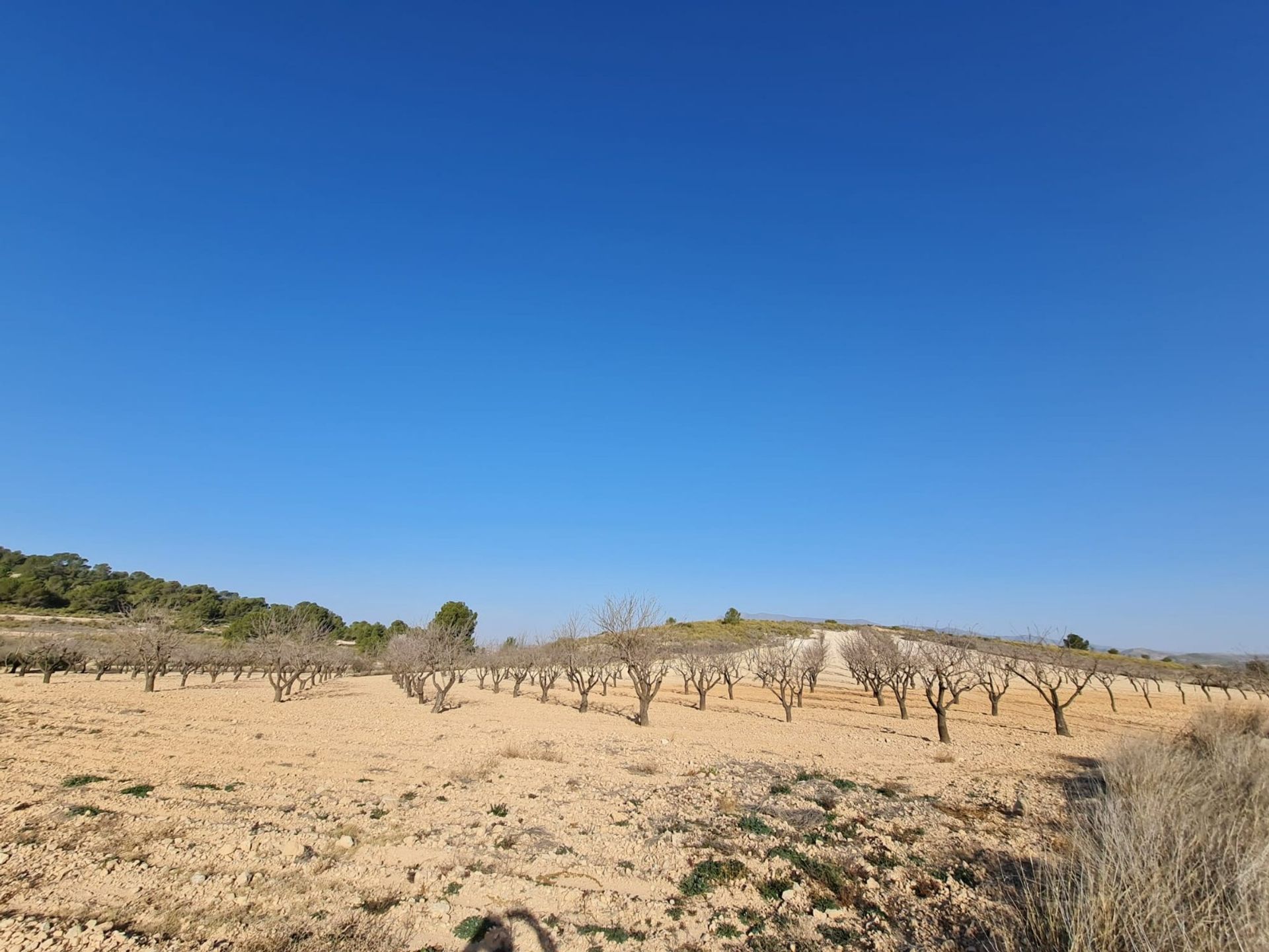 Rumah di , Región de Murcia 12853332