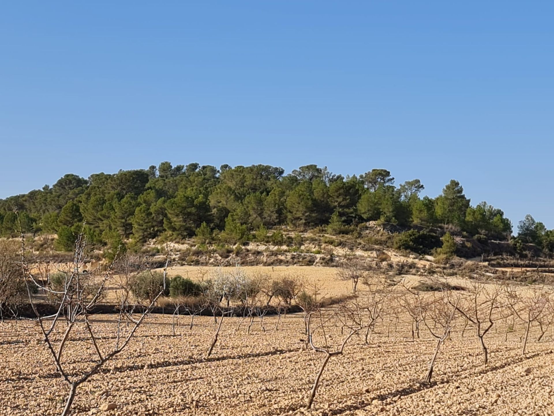 Rumah di , Región de Murcia 12853332