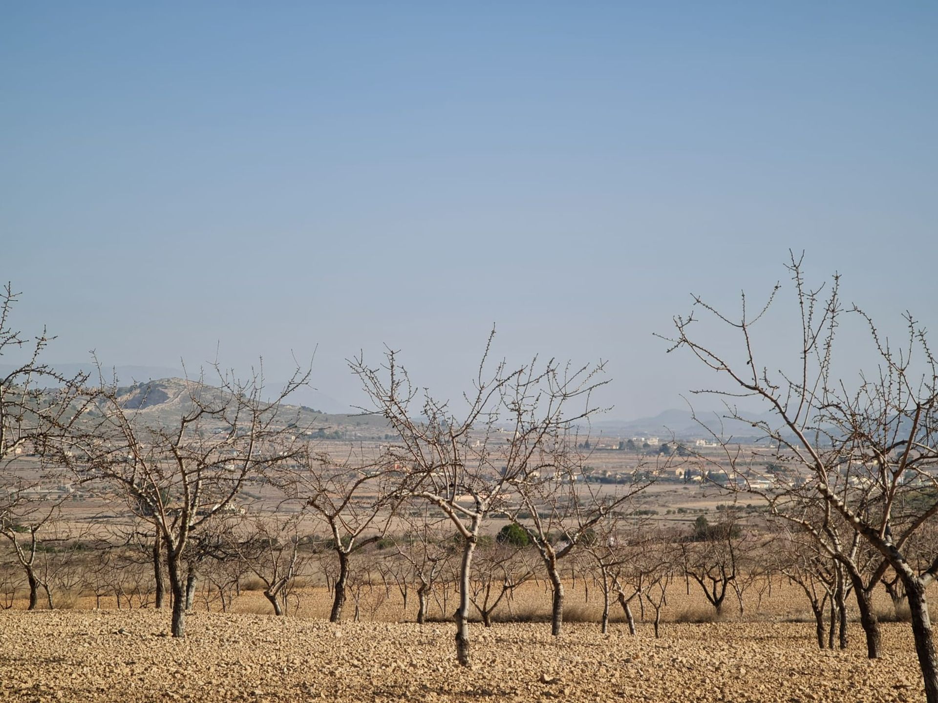 Rumah di , Región de Murcia 12853332