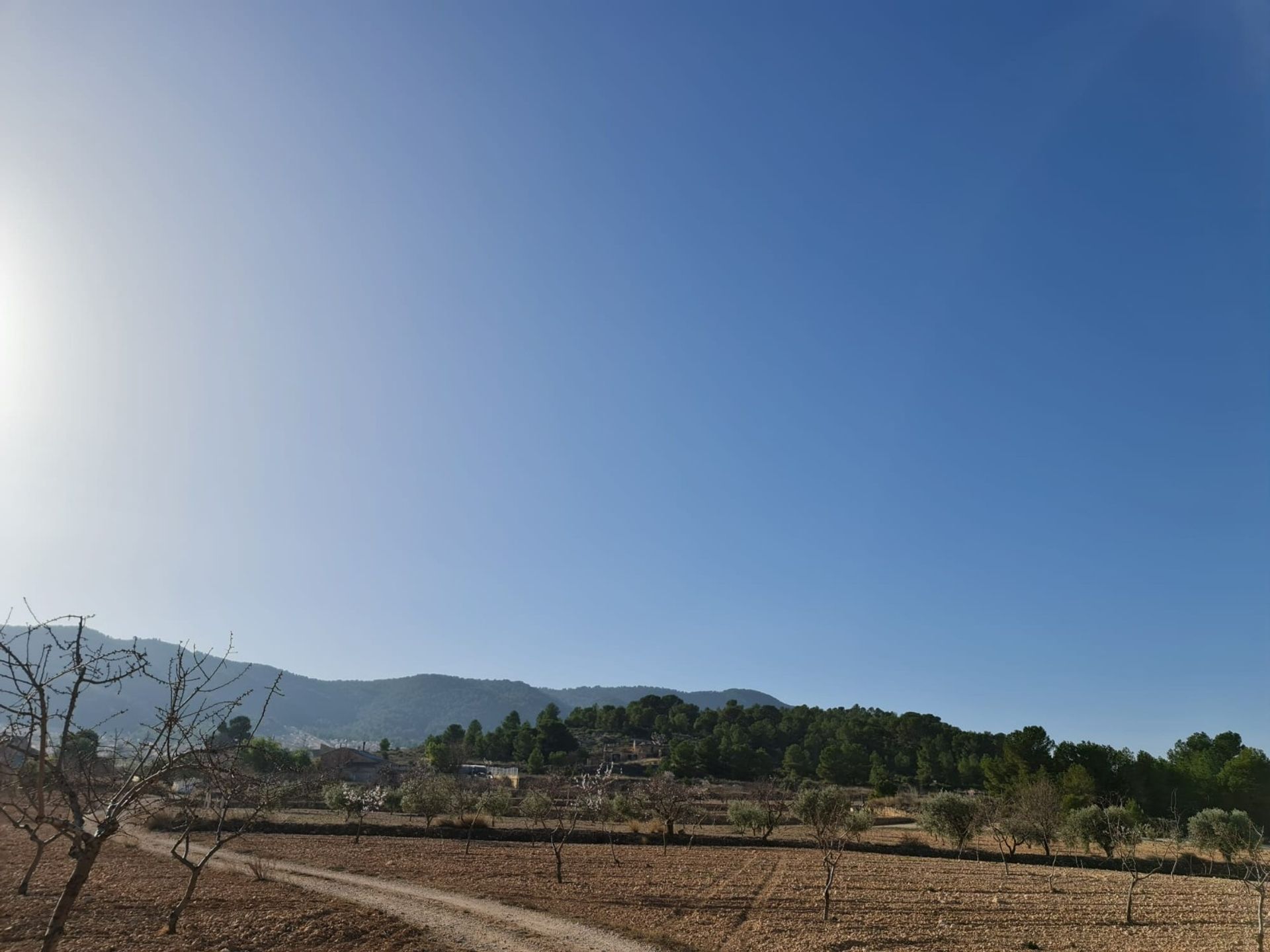 σπίτι σε Ο Πινόσο, Βαλένθια 12853332