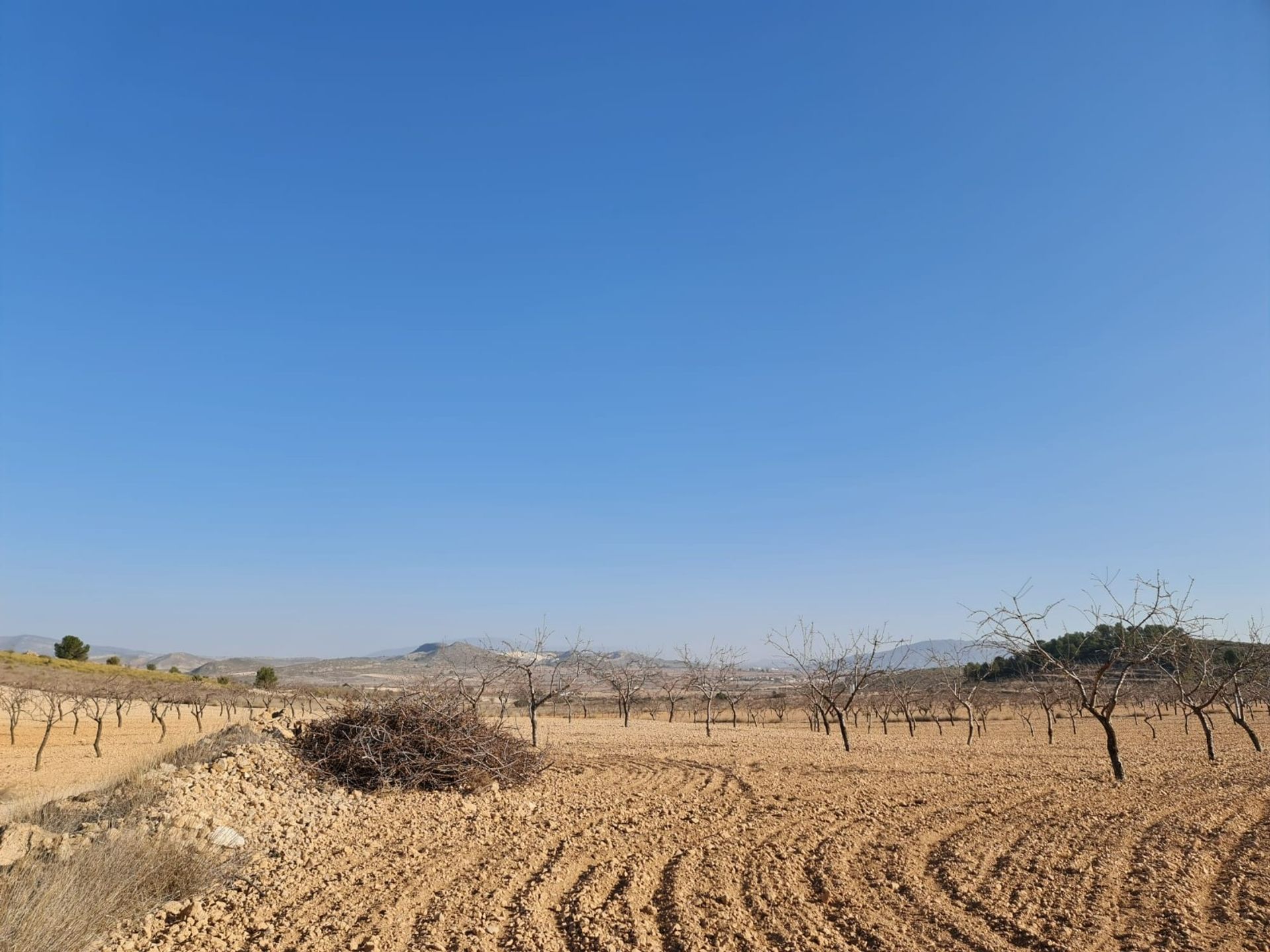 Rumah di , Región de Murcia 12853332