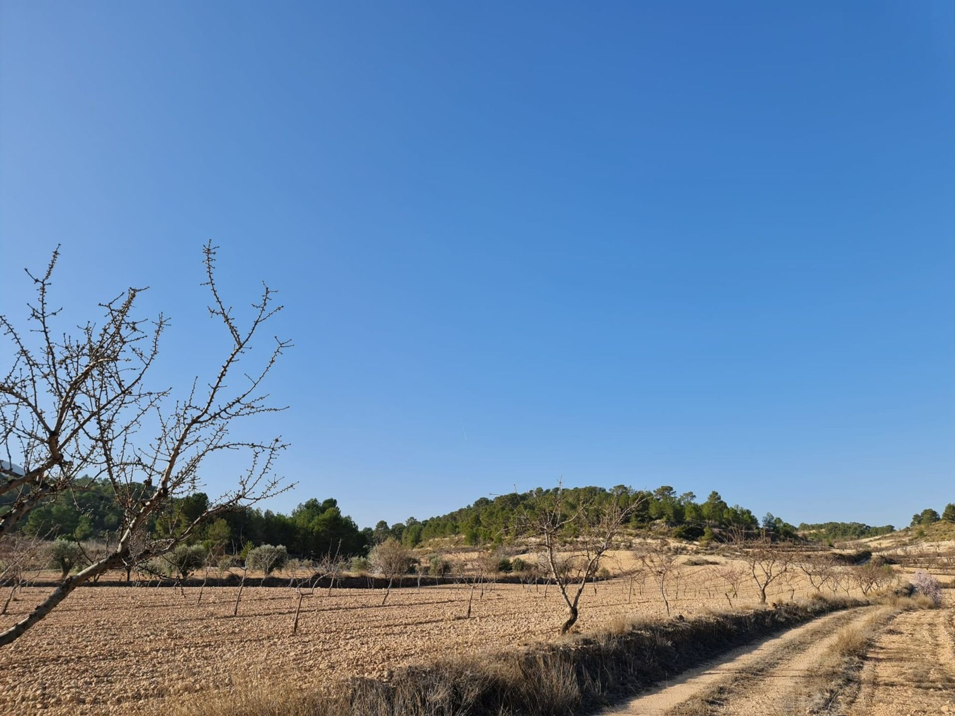 σπίτι σε Ο Πινόσο, Βαλένθια 12853332