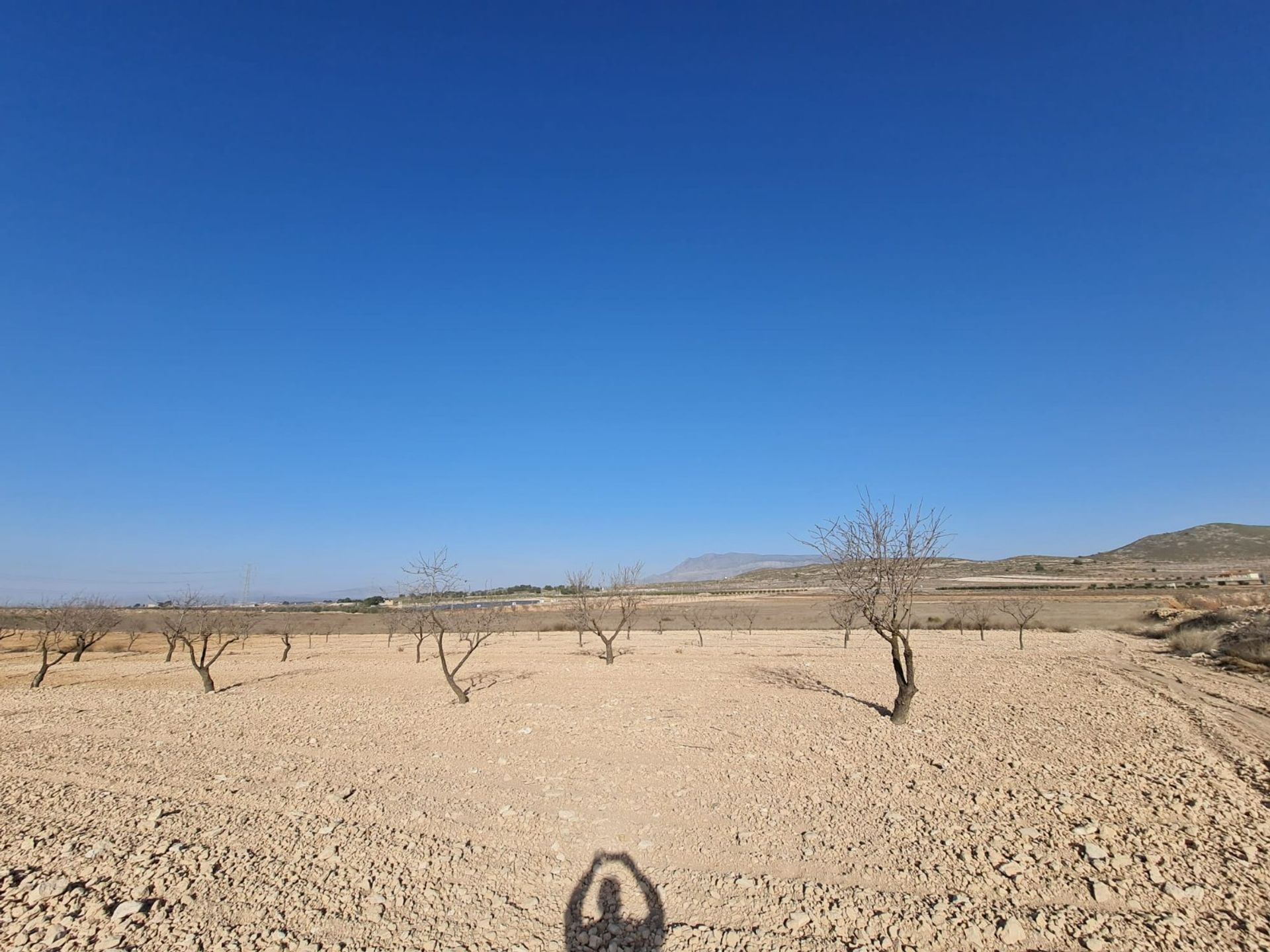 Dom w Jumilla, Región de Murcia 12853334