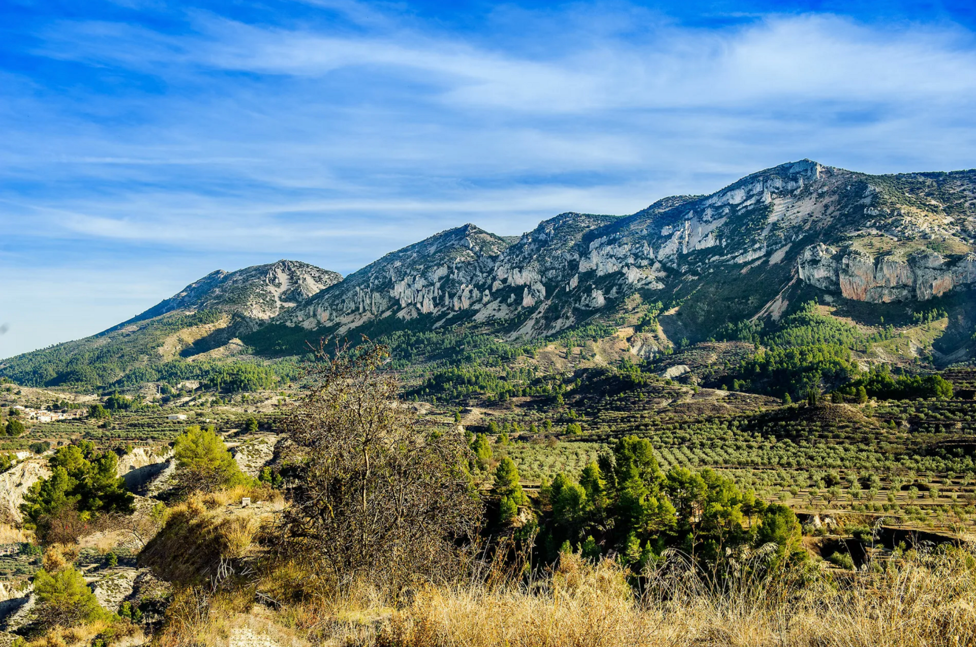 Tierra en Altea, Comunidad Valenciana 12853608