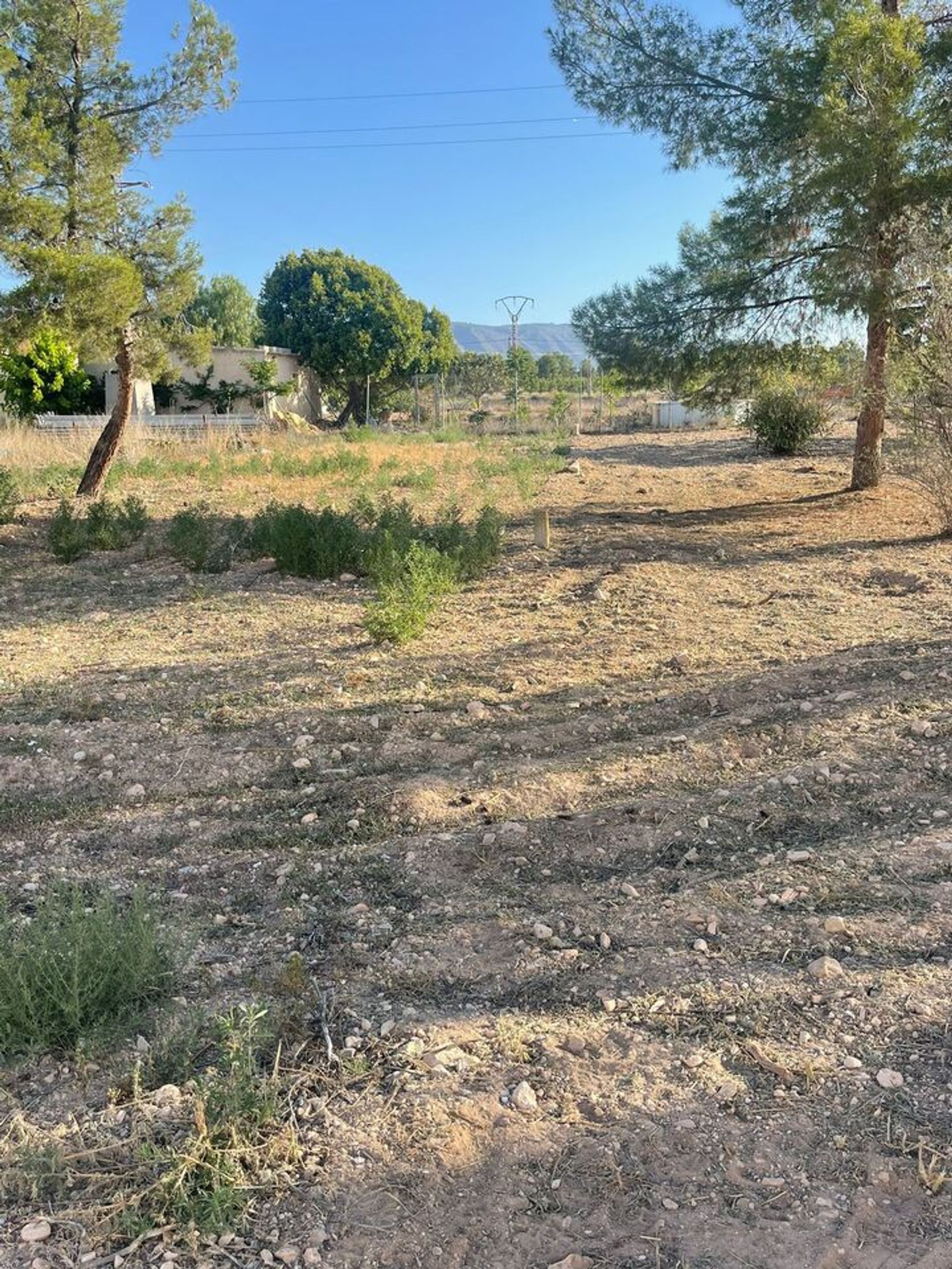 casa en Pinoso, Comunidad Valenciana 12853638