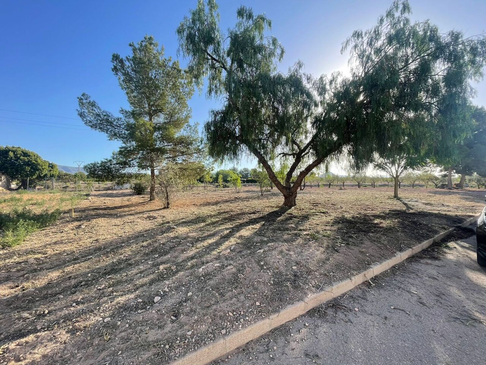 casa en Pinoso, Comunidad Valenciana 12853638