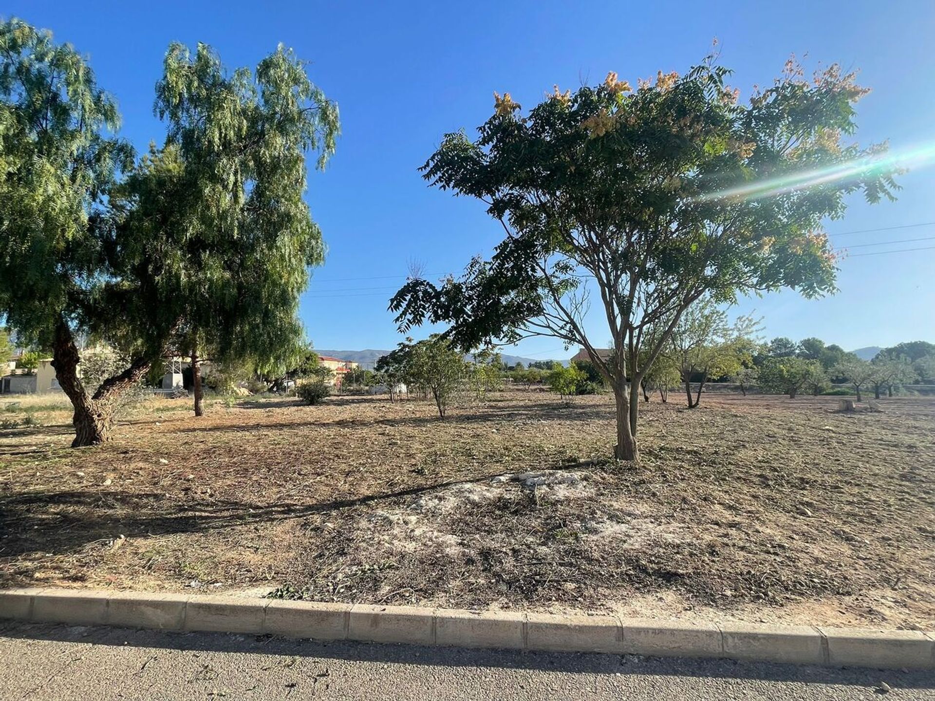 casa en Pinoso, Comunidad Valenciana 12853638