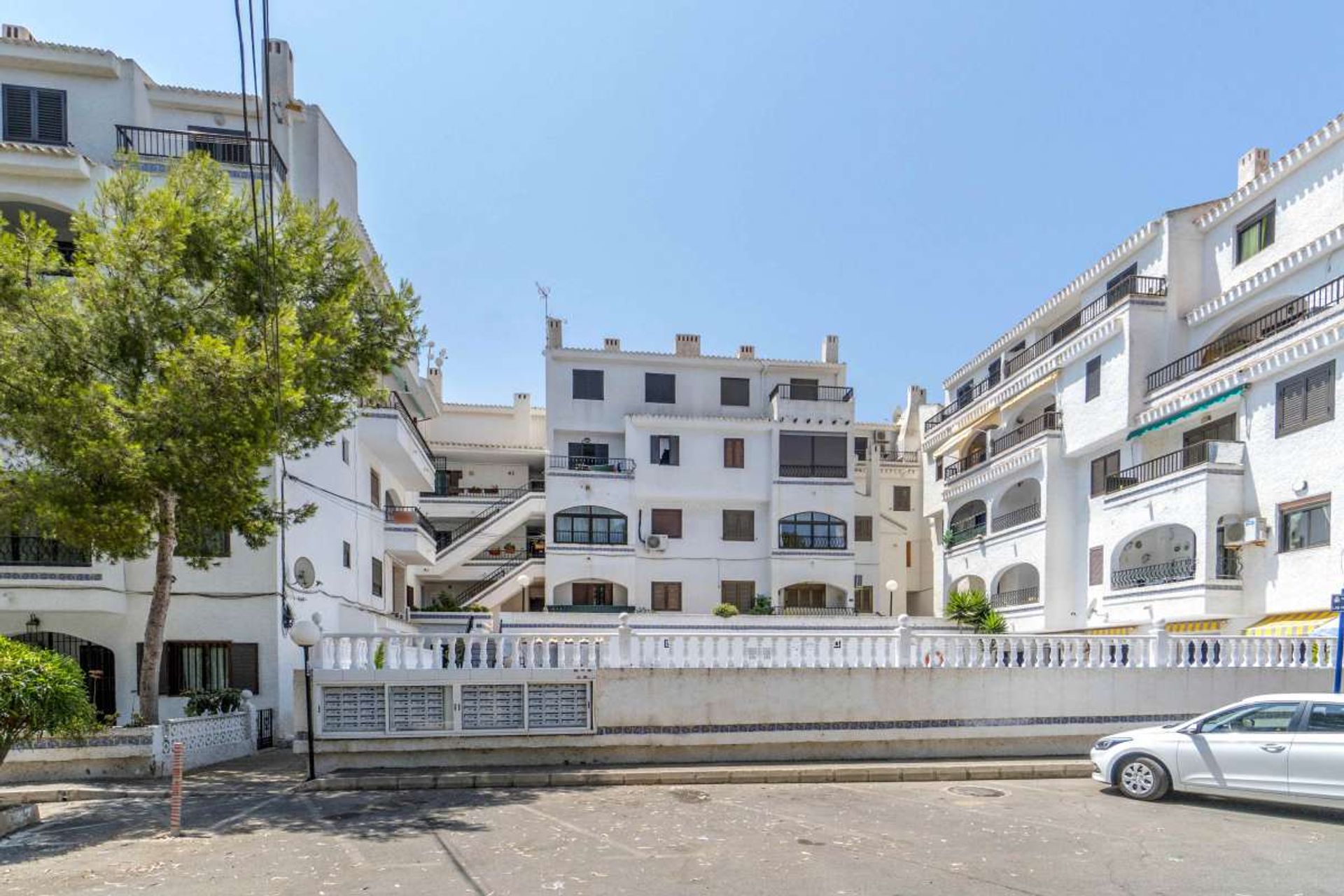 सम्मिलित में Dehesa de Campoamor, Valencian Community 12854331