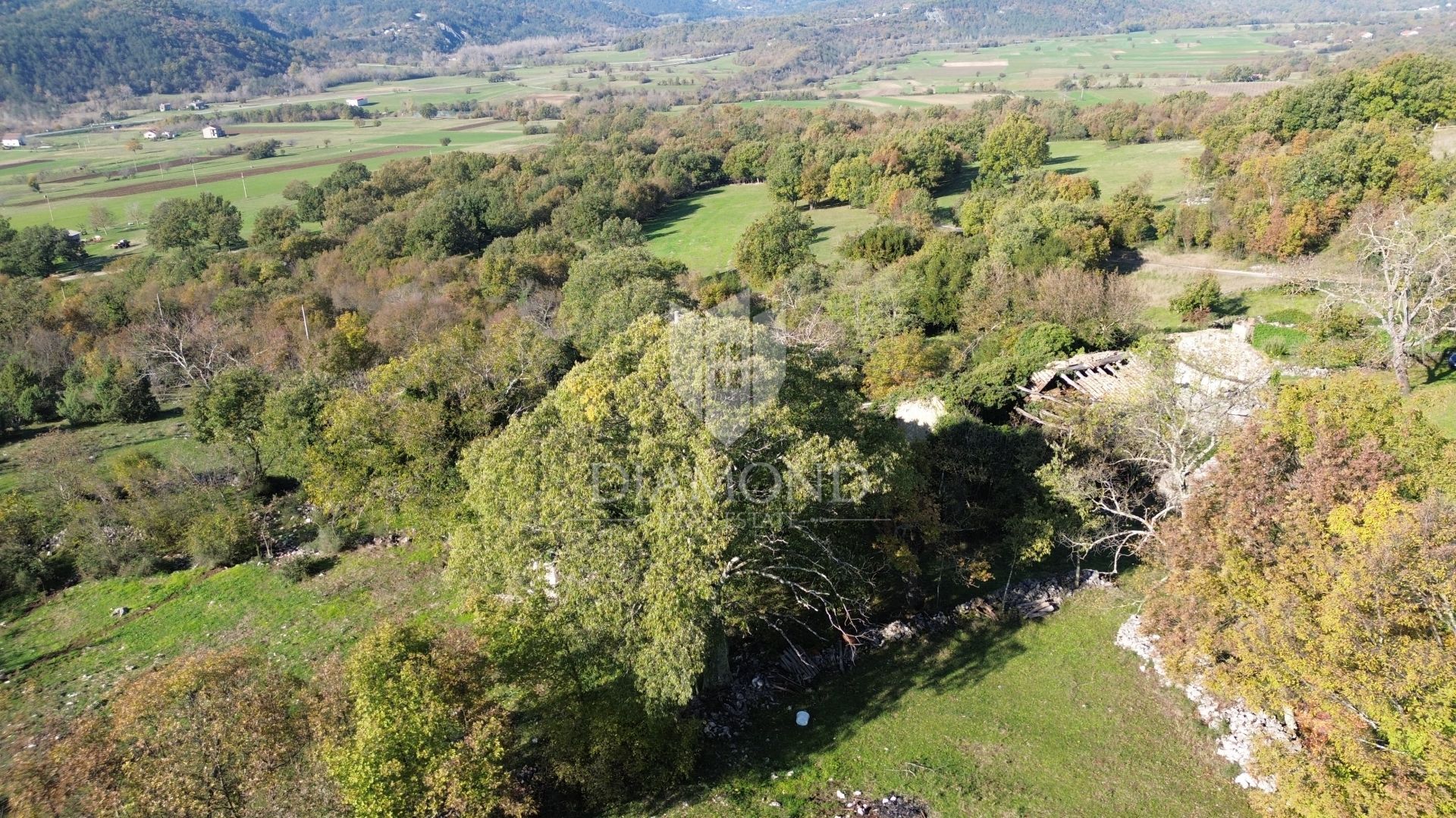 Casa nel Boljun, Istria County 12854693