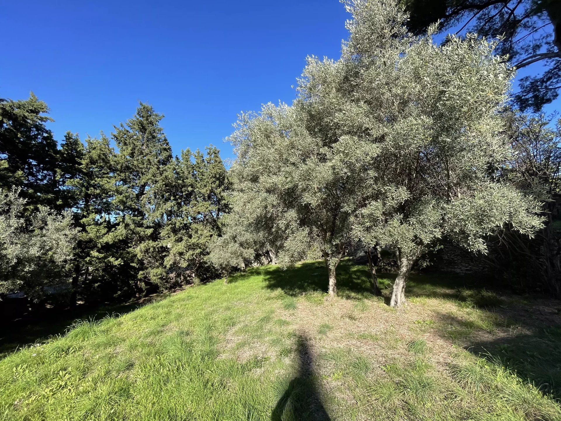 Tierra en Ceyreste, Bouches-du-Rhône 12855261